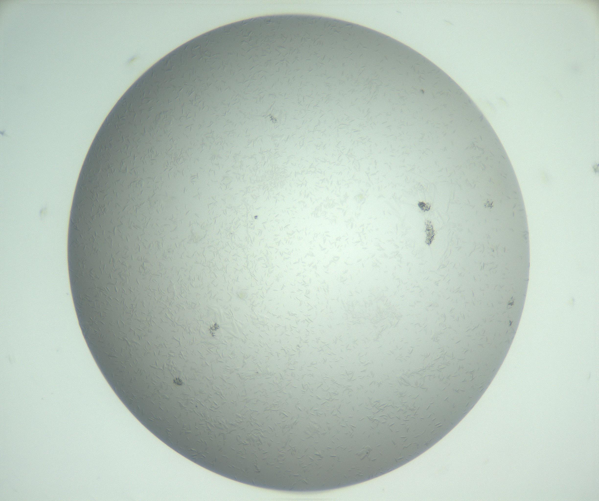 RI01_03_000_0212_Proj1_Clon1_MC_0000MC102985_003_161119_08_01_02_00_99_002_001_RAI.jpg