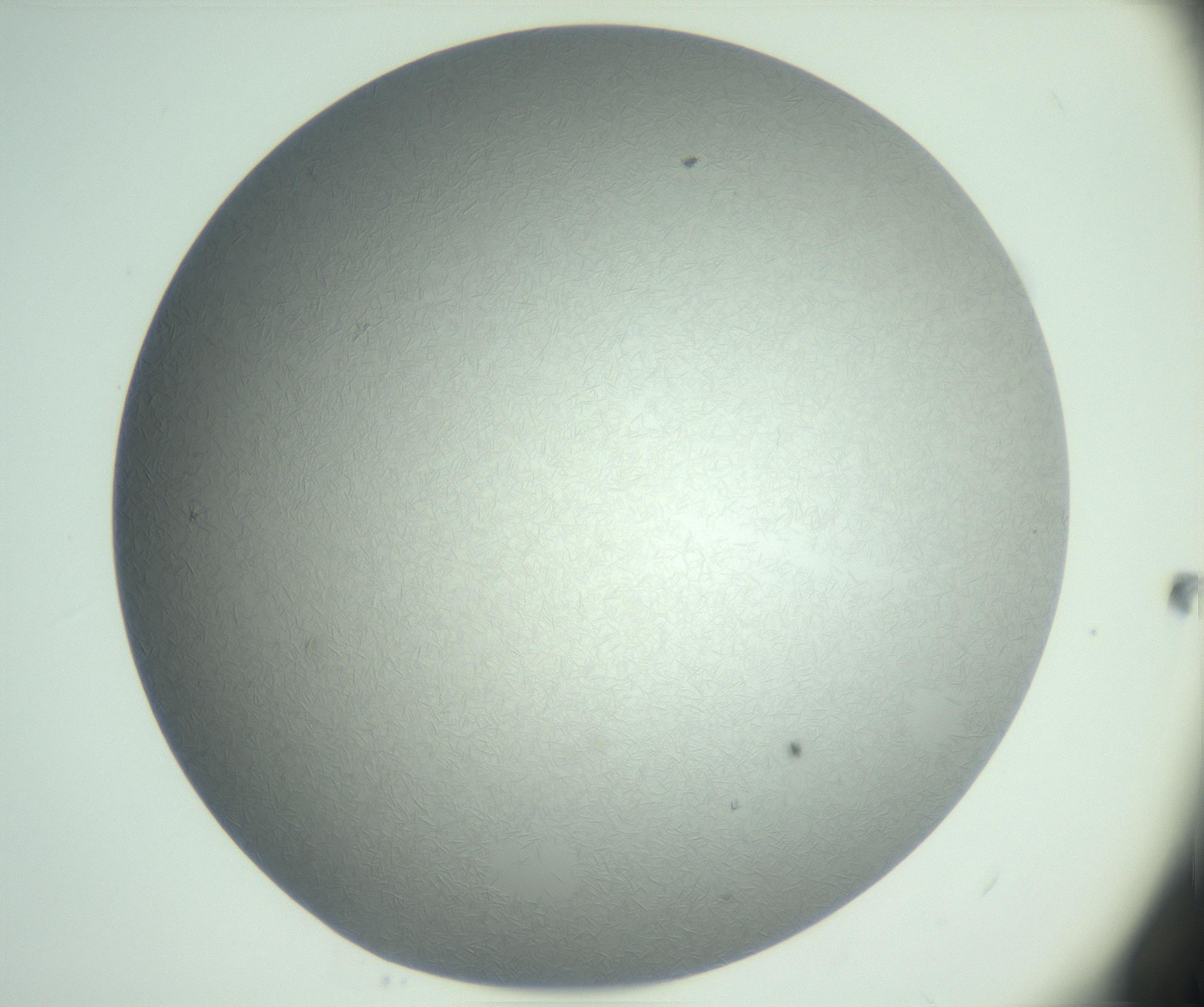 RI01_03_000_0212_Proj1_Clon1_MC_0000MC102985_003_161119_11_04_01_00_99_002_001_RAI.jpg