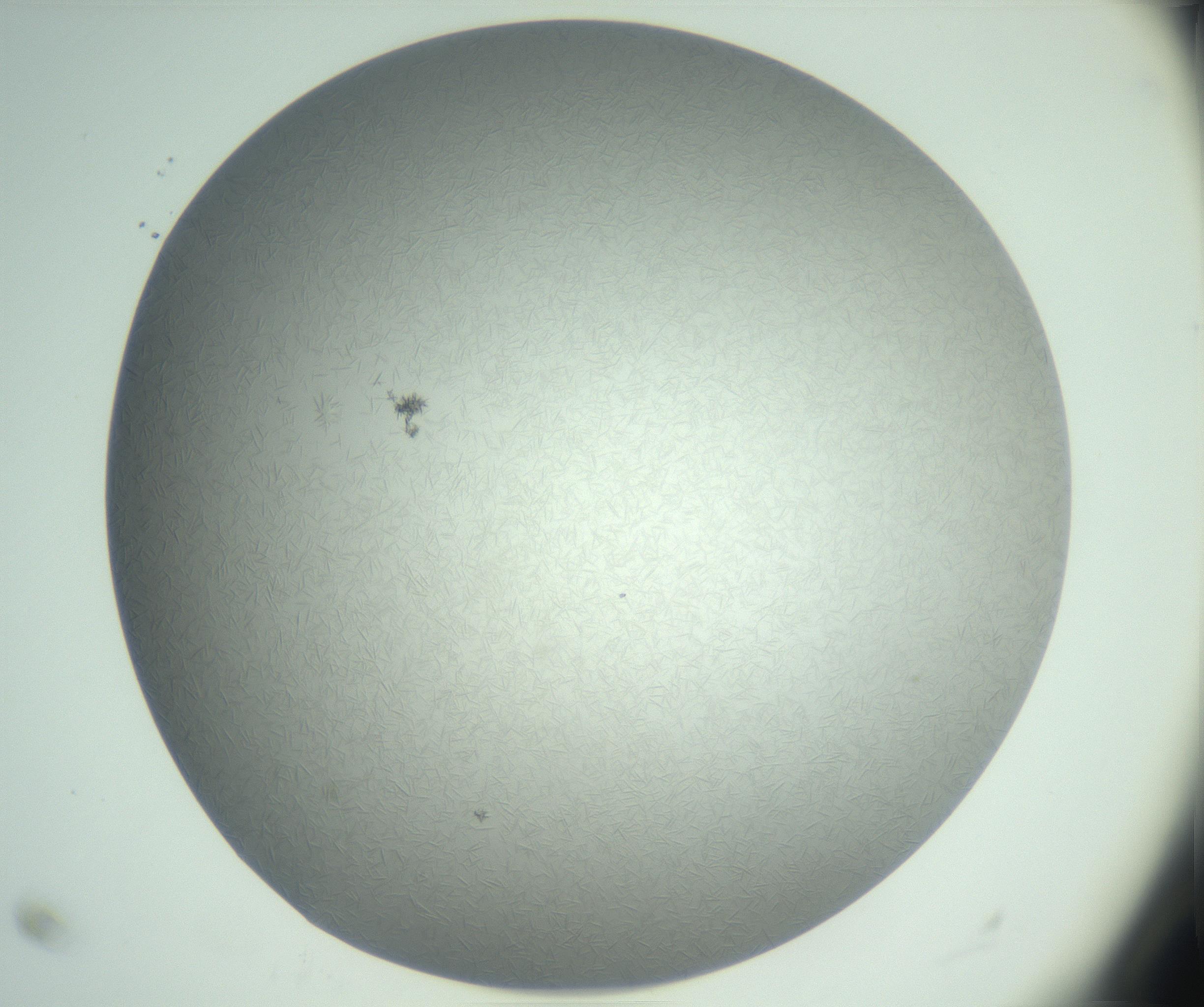 RI01_03_000_0212_Proj1_Clon1_MC_0000MC102985_003_161119_11_04_02_00_99_002_001_RAI.jpg