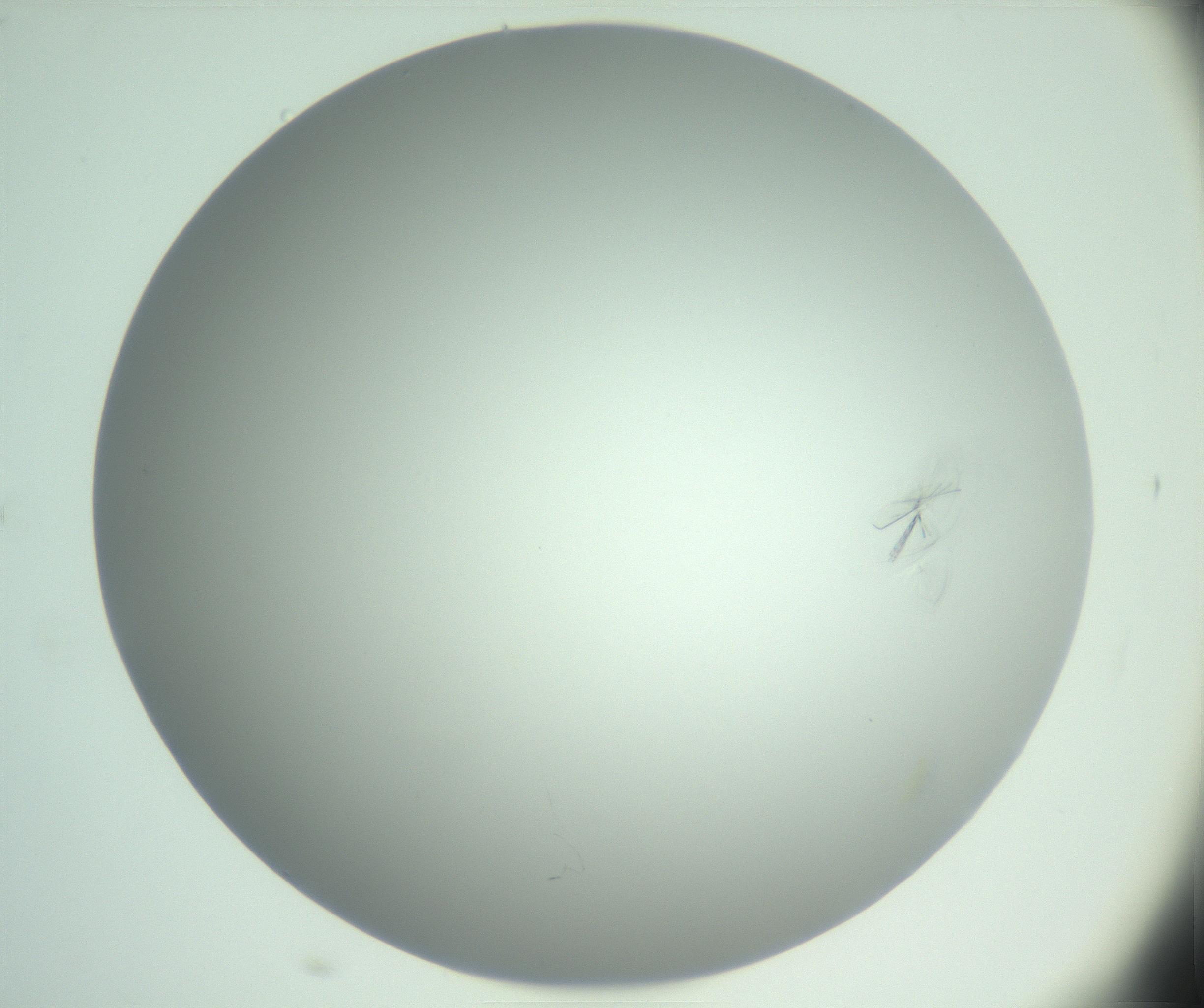 RI01_03_000_0212_Proj1_Clon1_MC_0000MC102985_004_161121_01_02_02_00_99_002_001_RAI.jpg
