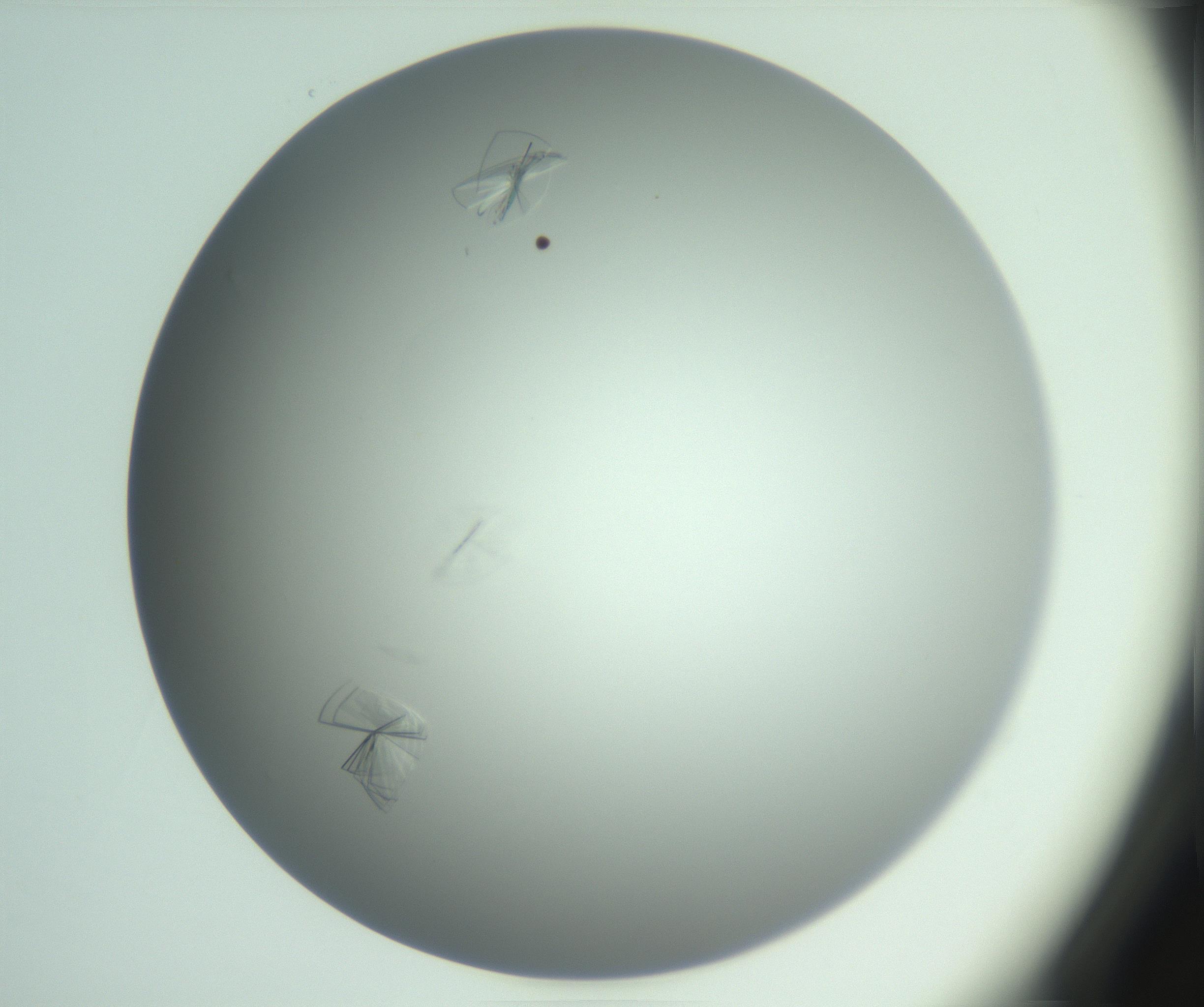 RI01_03_000_0212_Proj1_Clon1_MC_0000MC102985_004_161121_03_03_01_00_99_002_001_RAI.jpg