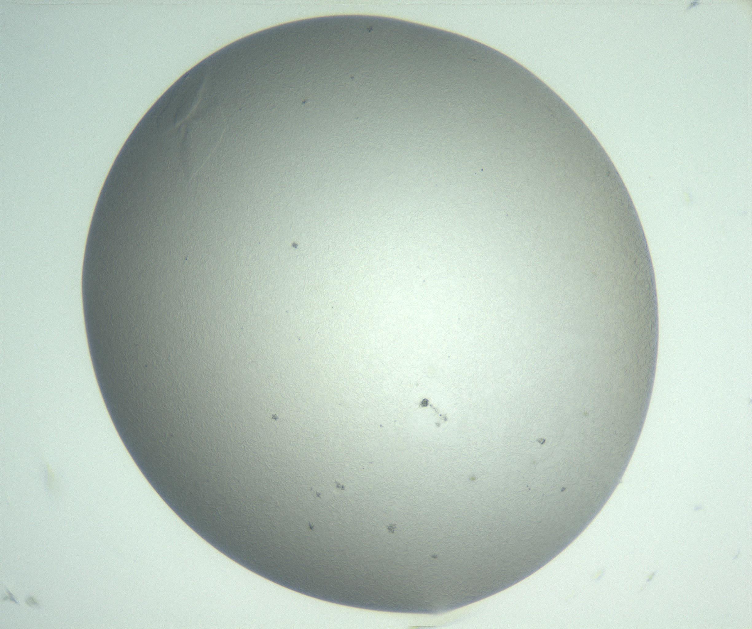 RI01_03_000_0212_Proj1_Clon1_MC_0000MC102985_004_161121_04_01_02_00_99_002_001_RAI.jpg