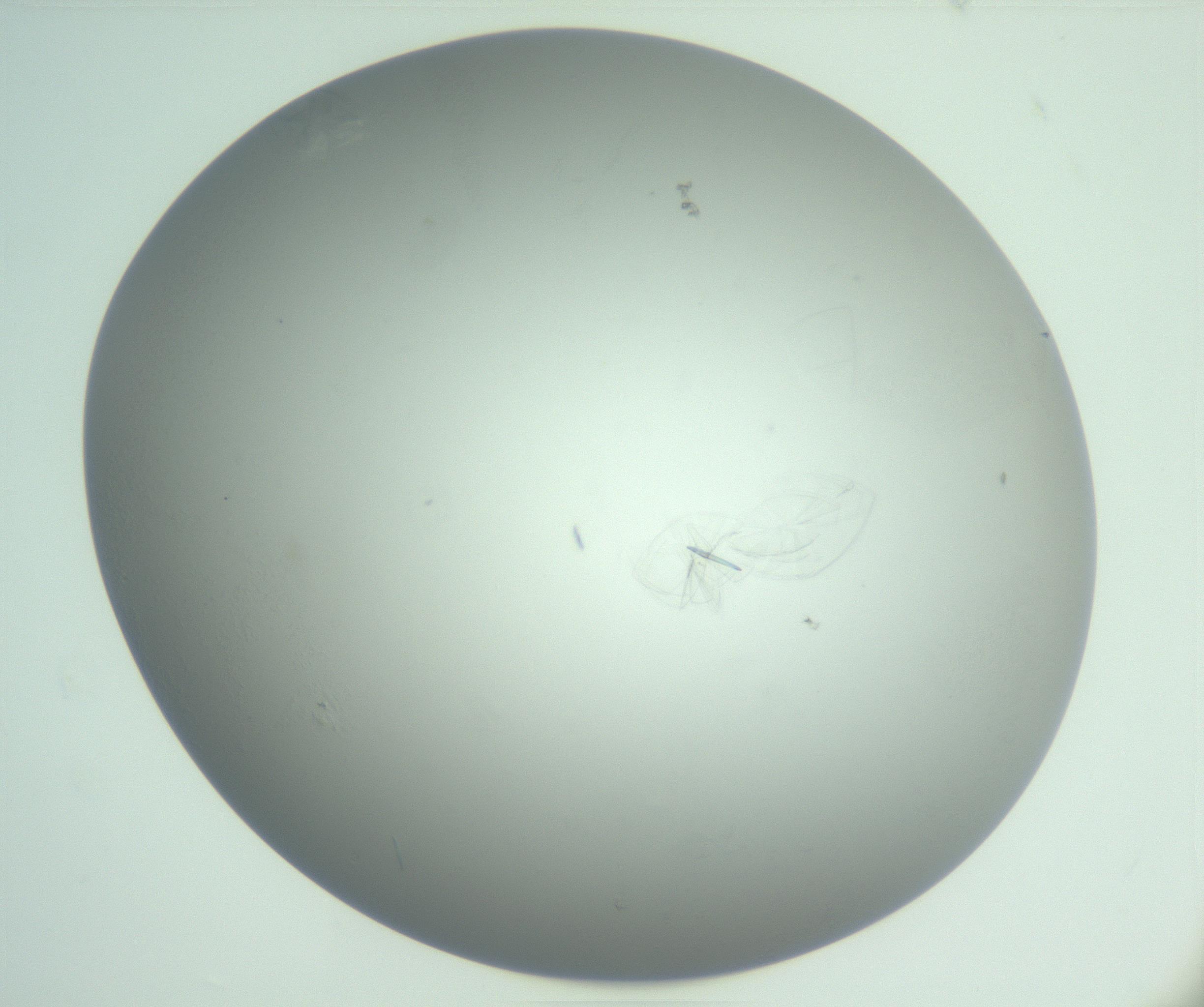 RI01_03_000_0212_Proj1_Clon1_MC_0000MC102985_004_161121_05_02_01_00_99_002_001_RAI.jpg
