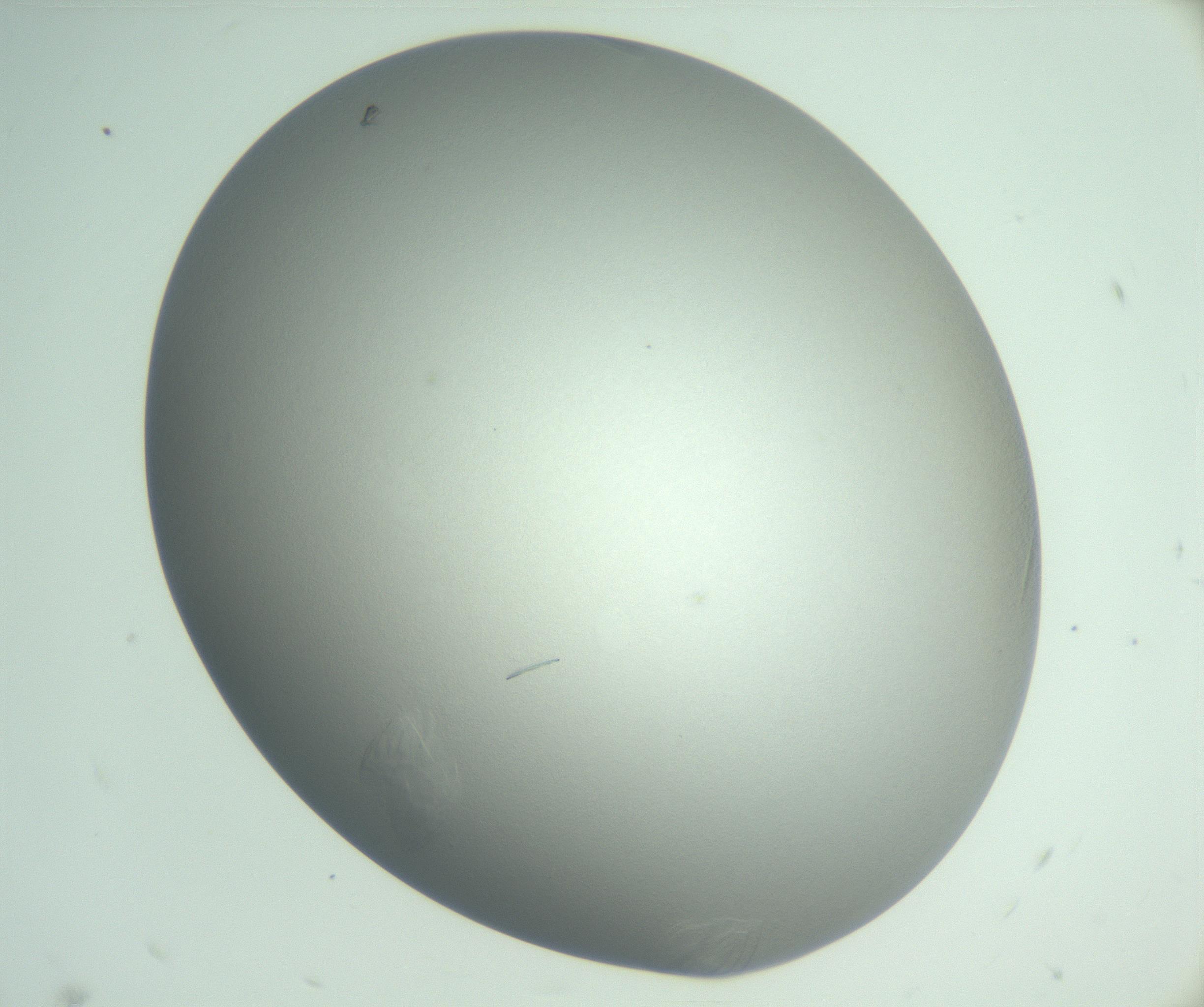 RI01_03_000_0212_Proj1_Clon1_MC_0000MC102985_004_161121_06_01_02_00_99_002_001_RAI.jpg