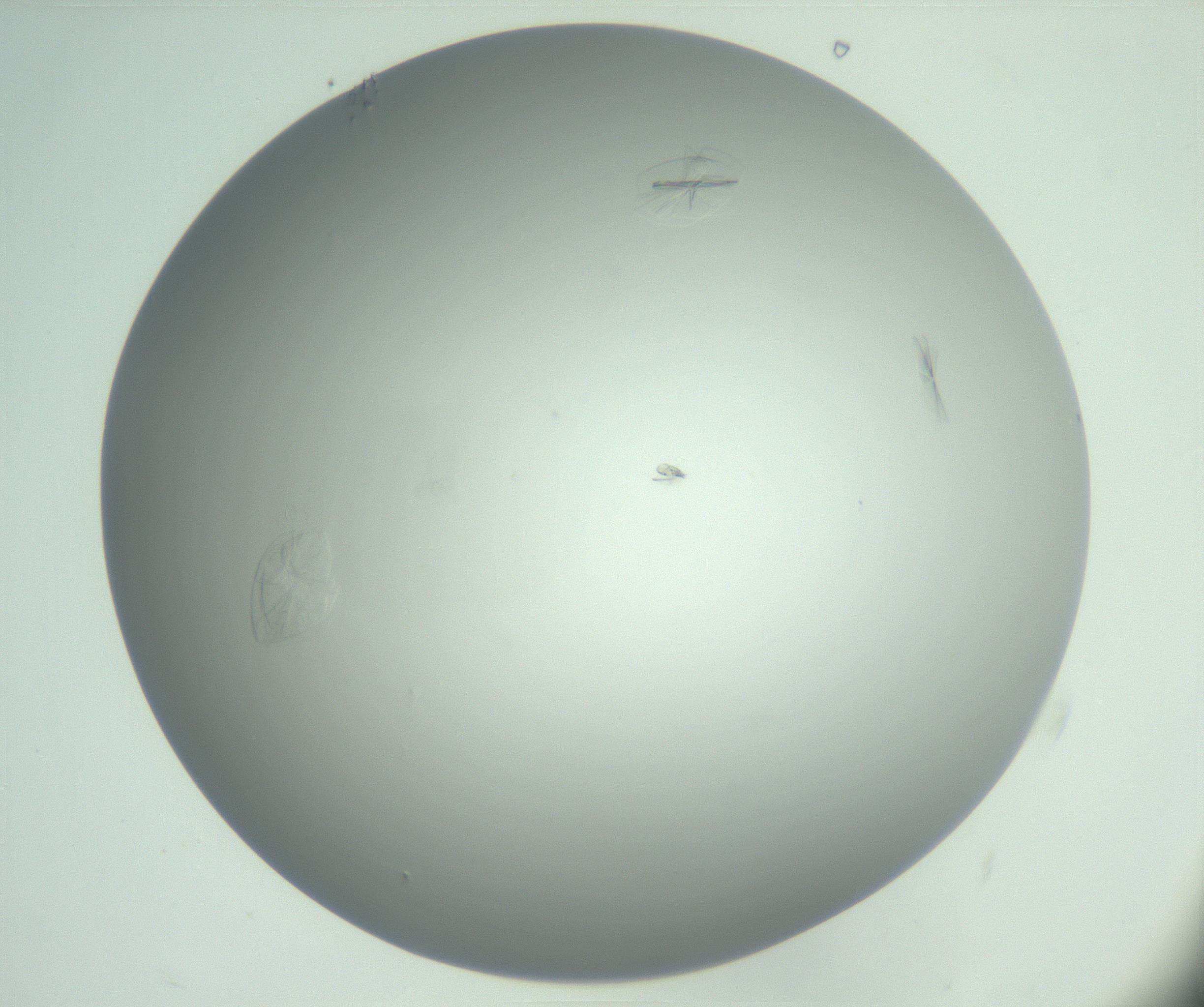 RI01_03_000_0212_Proj1_Clon1_MC_0000MC102985_004_161121_09_02_01_00_99_002_001_RAI.jpg