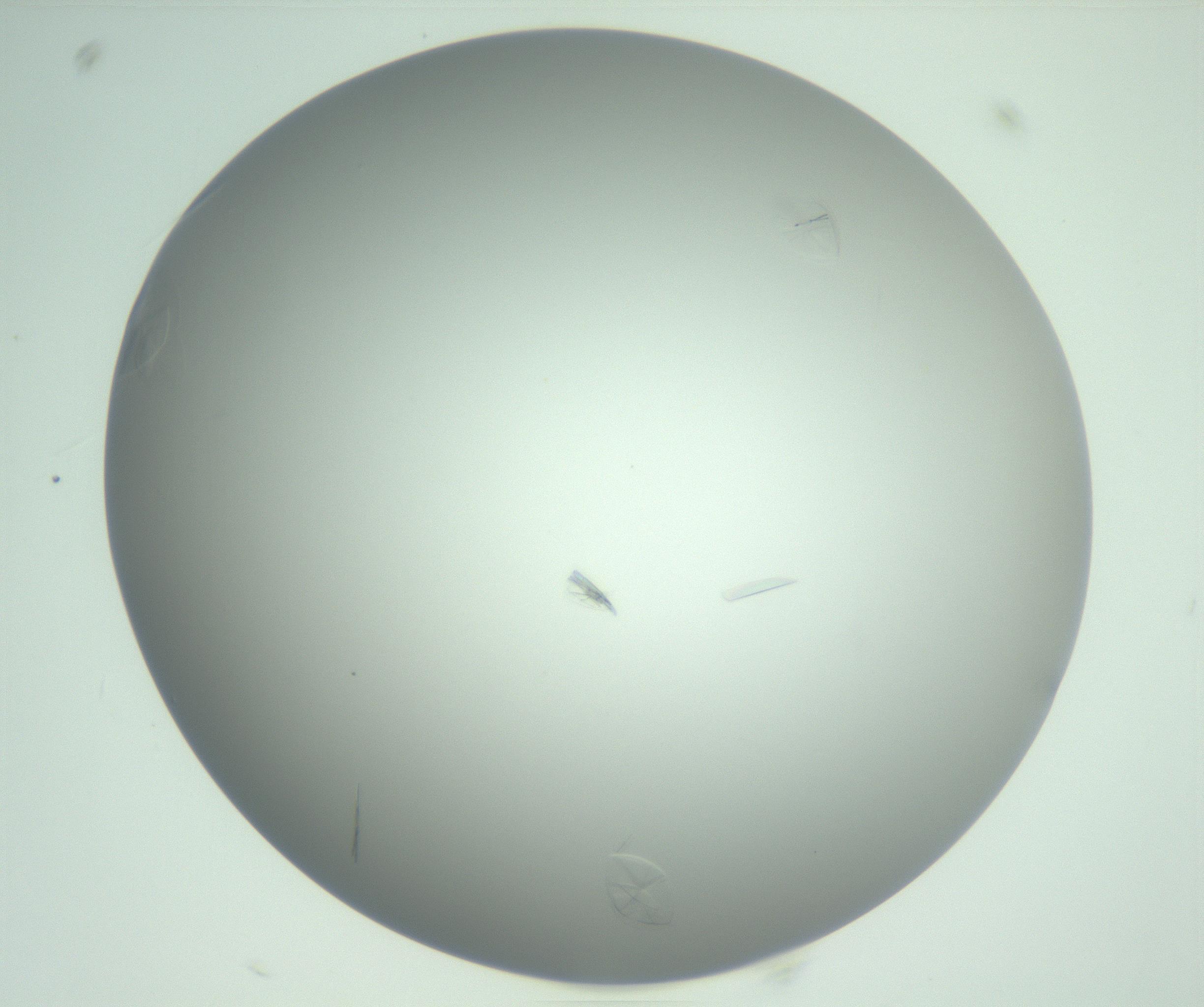 RI01_03_000_0212_Proj1_Clon1_MC_0000MC102985_004_161121_09_02_02_00_99_002_001_RAI.jpg