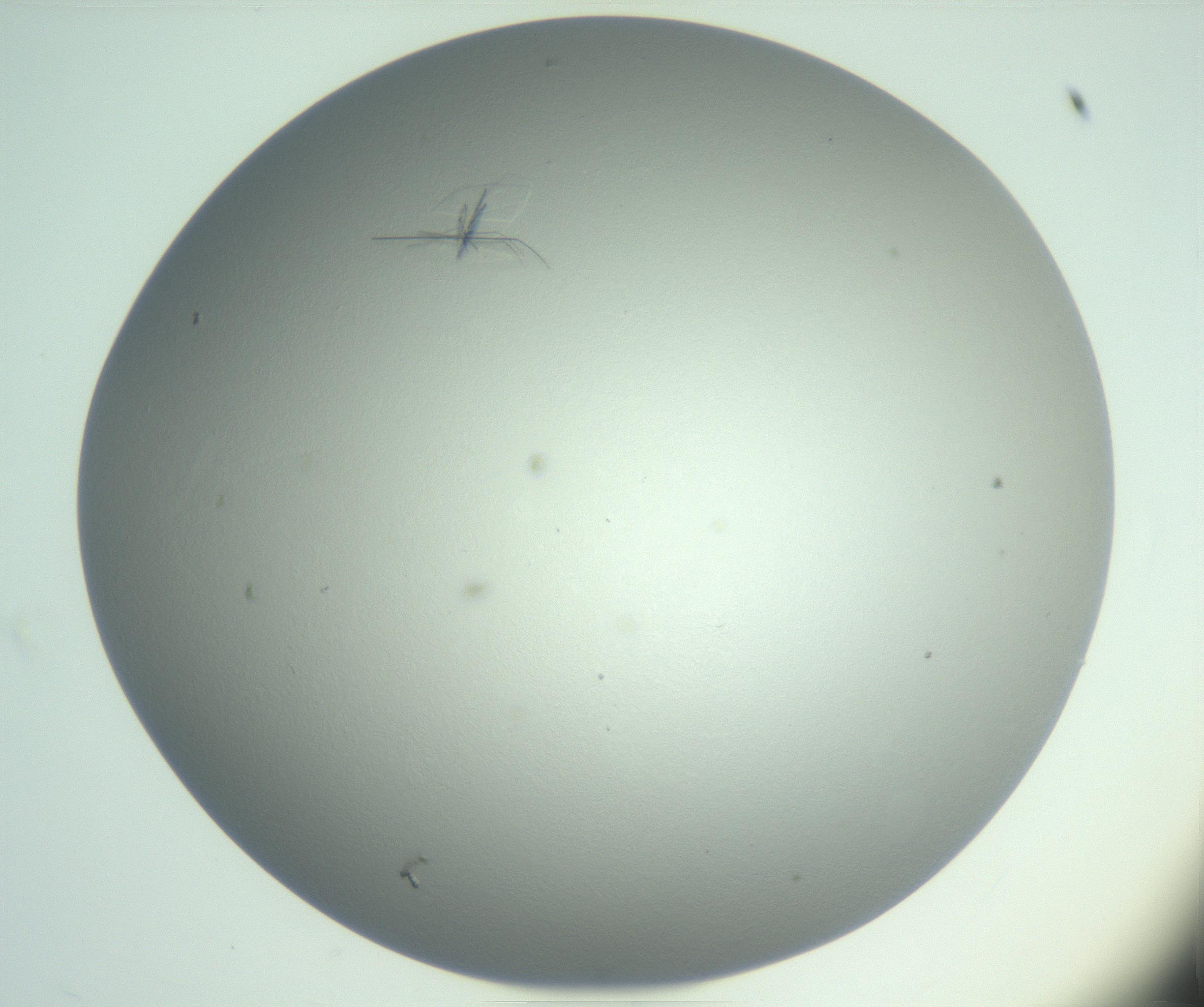 RI01_03_000_0212_Proj1_Clon1_MC_0000MC102985_004_161121_12_02_01_00_99_002_001_RAI.jpg