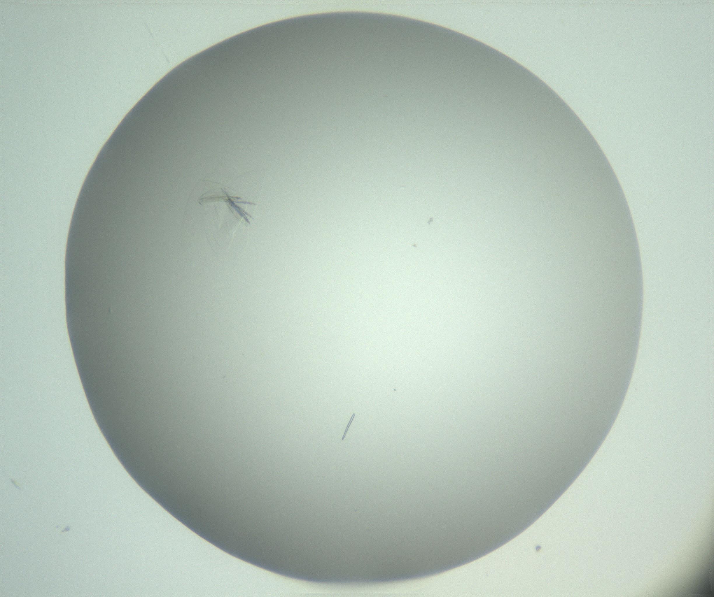 RI01_03_000_0212_Proj1_Clon1_MC_0000MC102985_006_161126_01_03_01_00_99_002_001_RAI.jpg