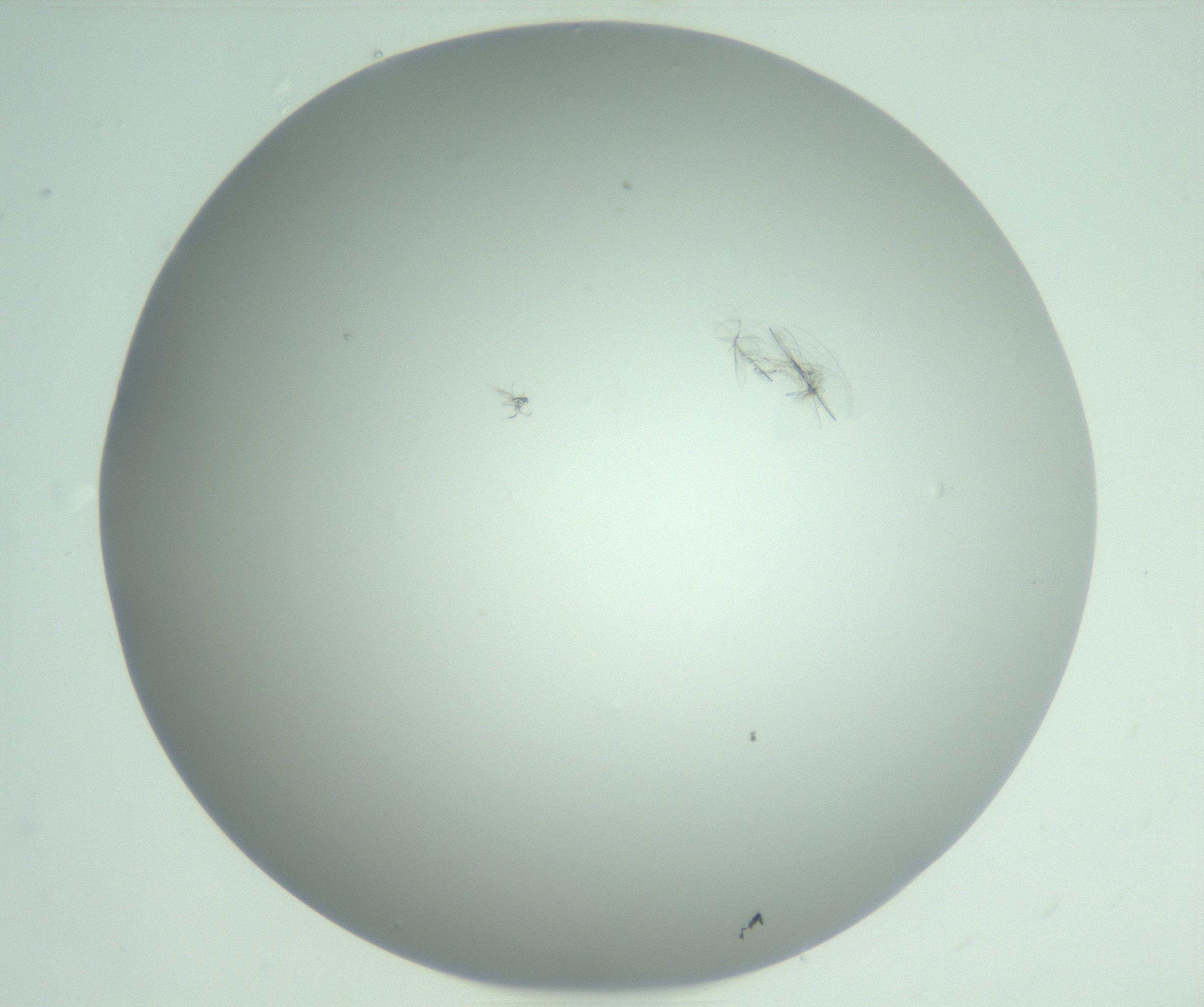 RI01_03_000_0212_Proj1_Clon1_MC_0000MC102985_006_161126_01_07_01_00_99_002_001_RAI.jpg