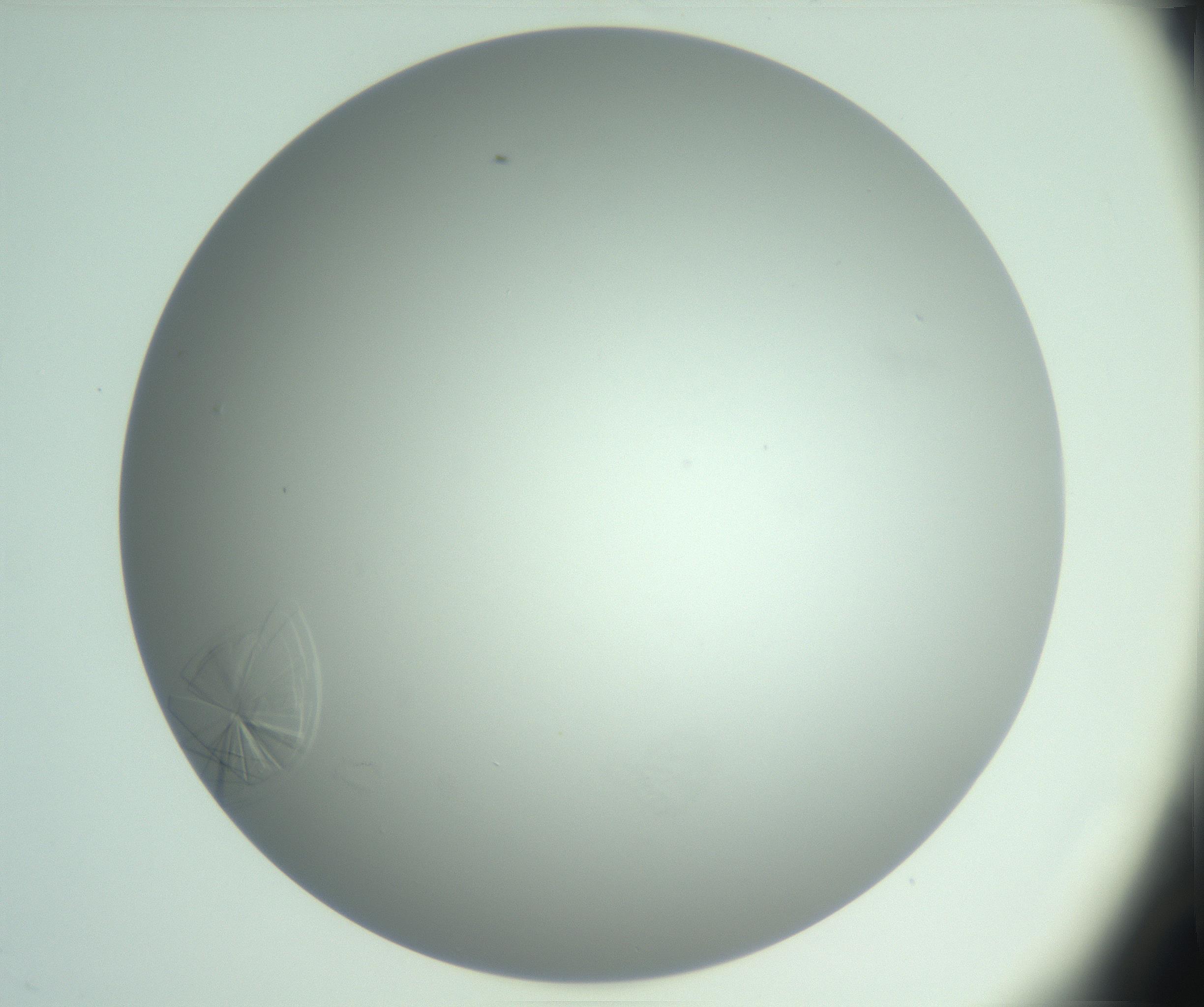 RI01_03_000_0212_Proj1_Clon1_MC_0000MC102985_006_161126_02_03_02_00_99_002_001_RAI.jpg