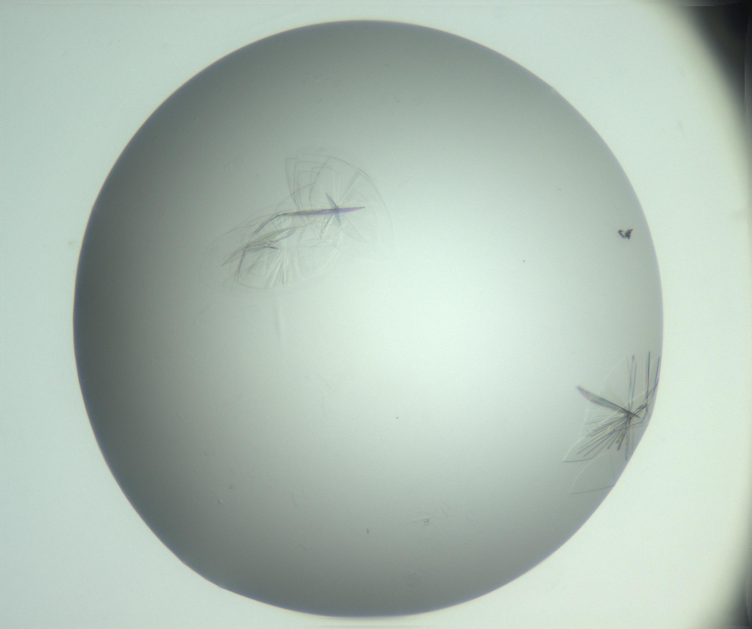 RI01_03_000_0212_Proj1_Clon1_MC_0000MC102985_006_161126_02_06_01_00_99_002_001_RAI.jpg