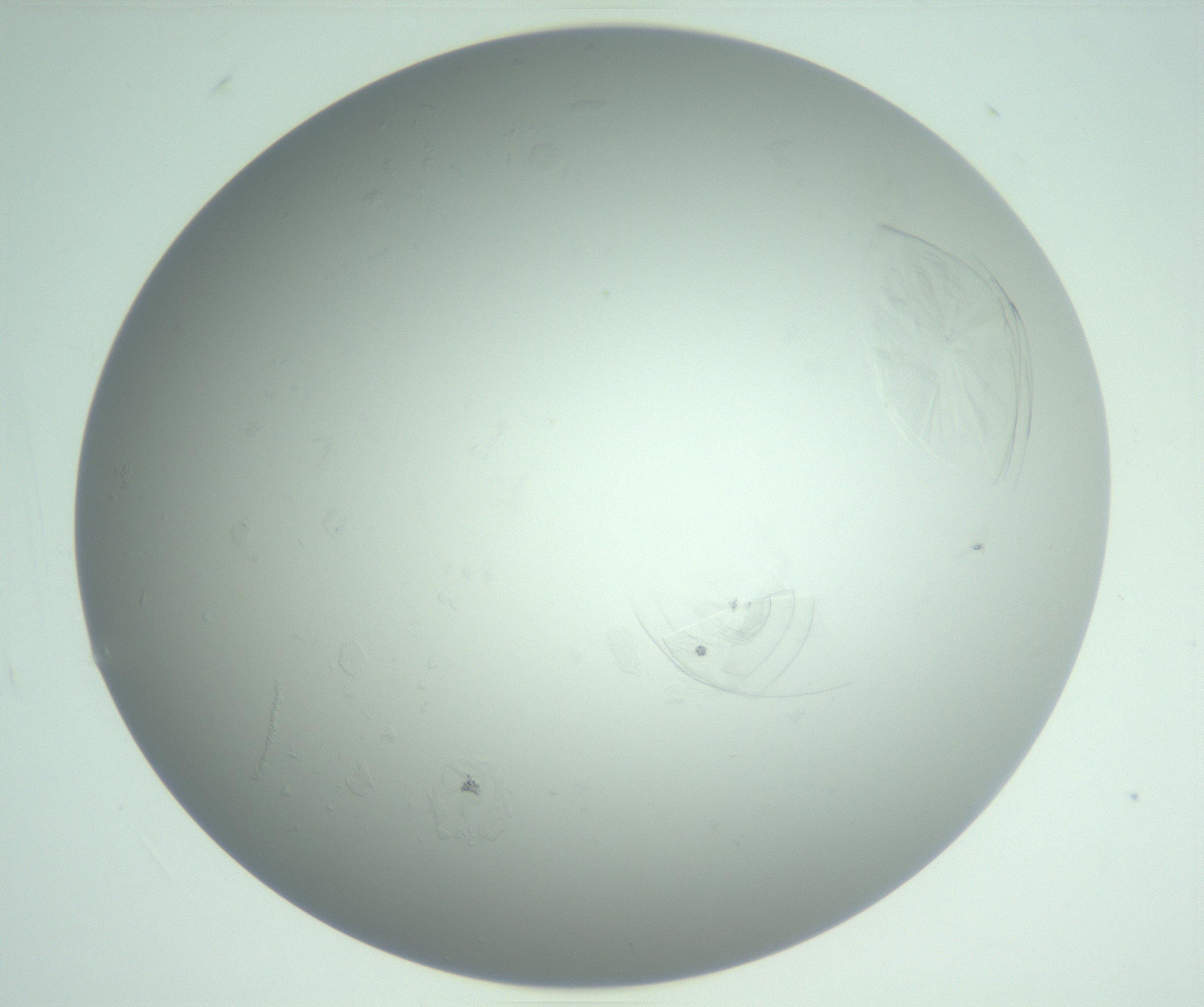 RI01_03_000_0212_Proj1_Clon1_MC_0000MC102985_006_161126_02_06_02_00_99_002_001_RAI.jpg