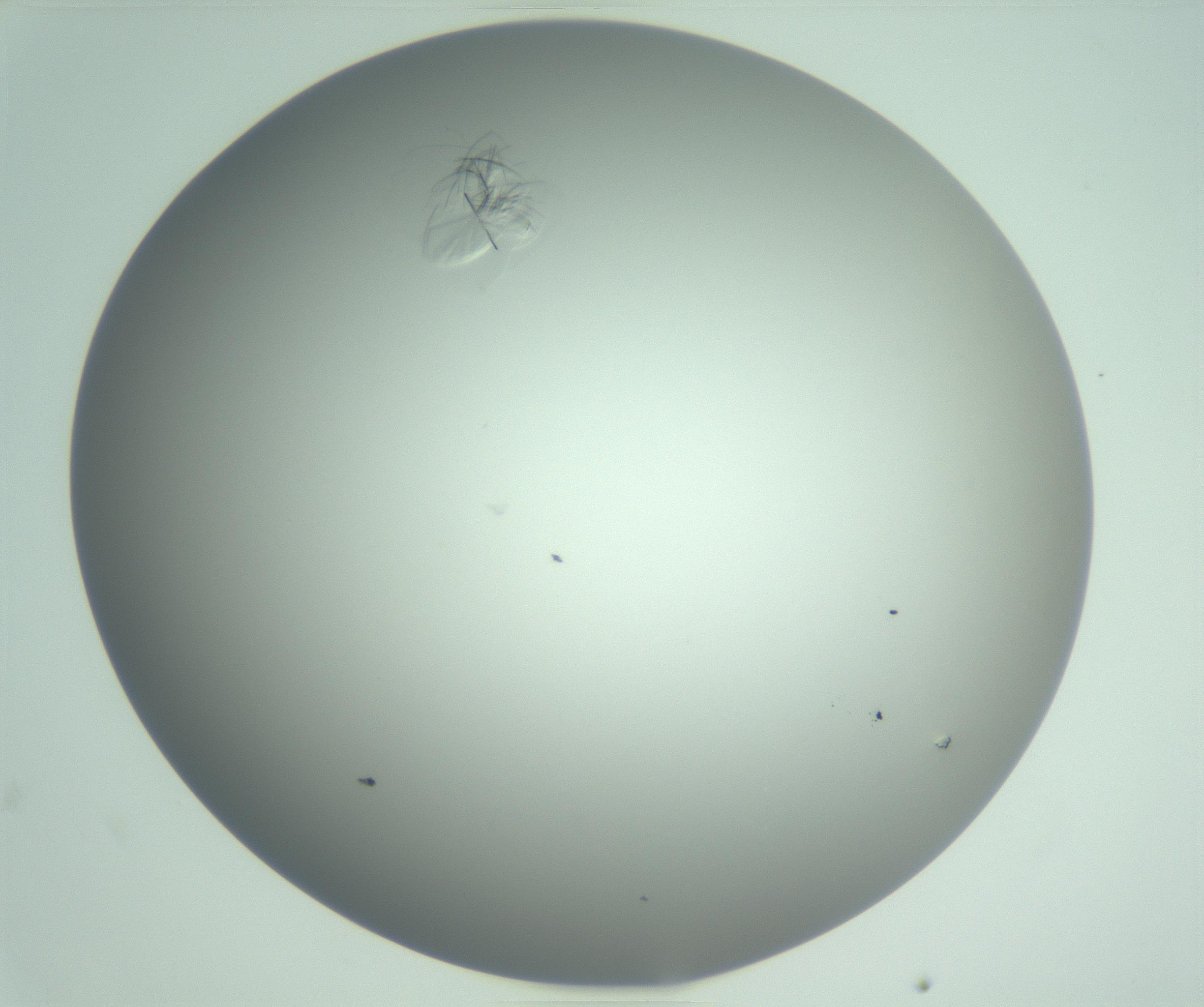 RI01_03_000_0212_Proj1_Clon1_MC_0000MC102985_006_161126_02_07_02_00_99_002_001_RAI.jpg