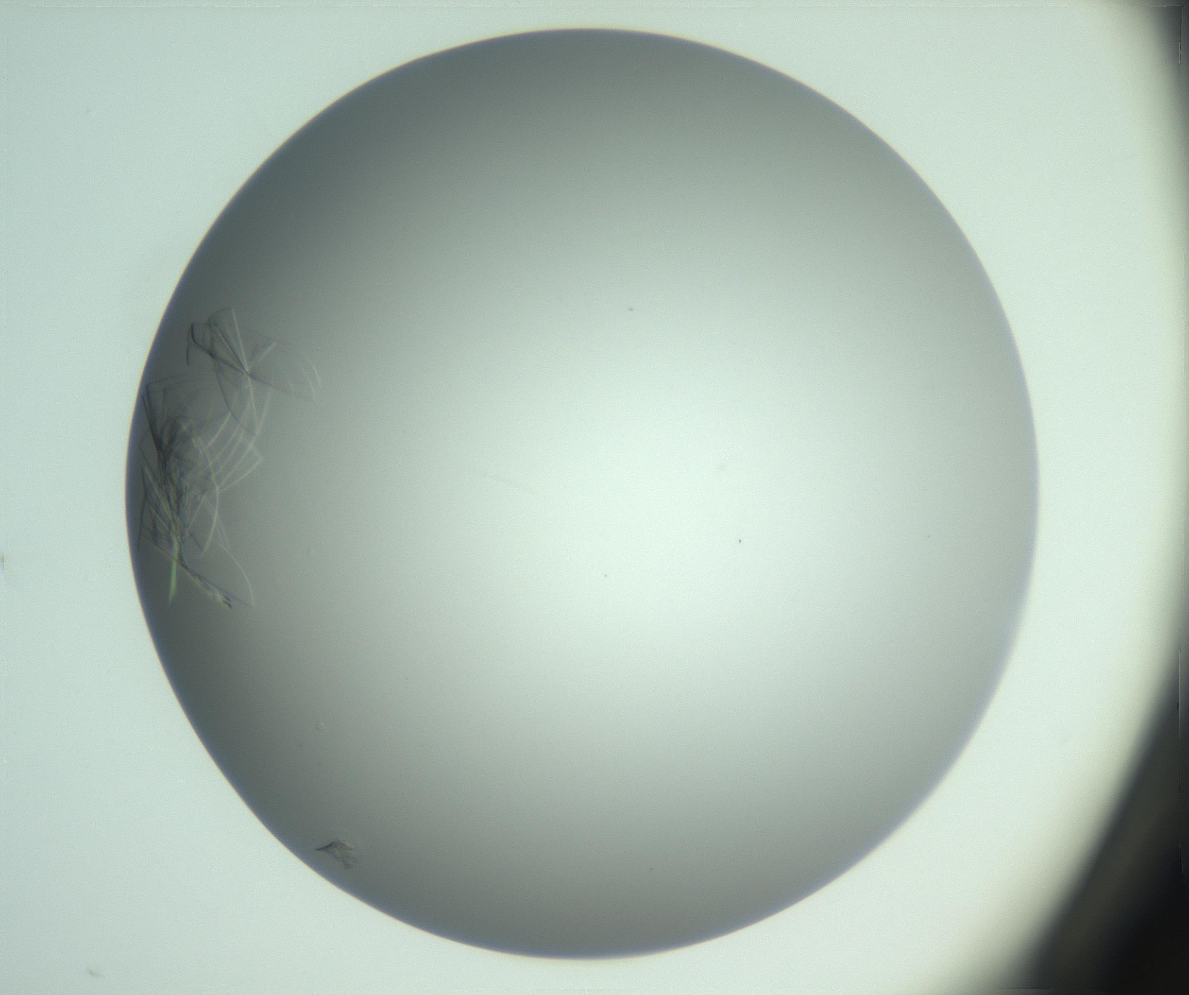 RI01_03_000_0212_Proj1_Clon1_MC_0000MC102985_006_161126_03_02_01_00_99_002_001_RAI.jpg