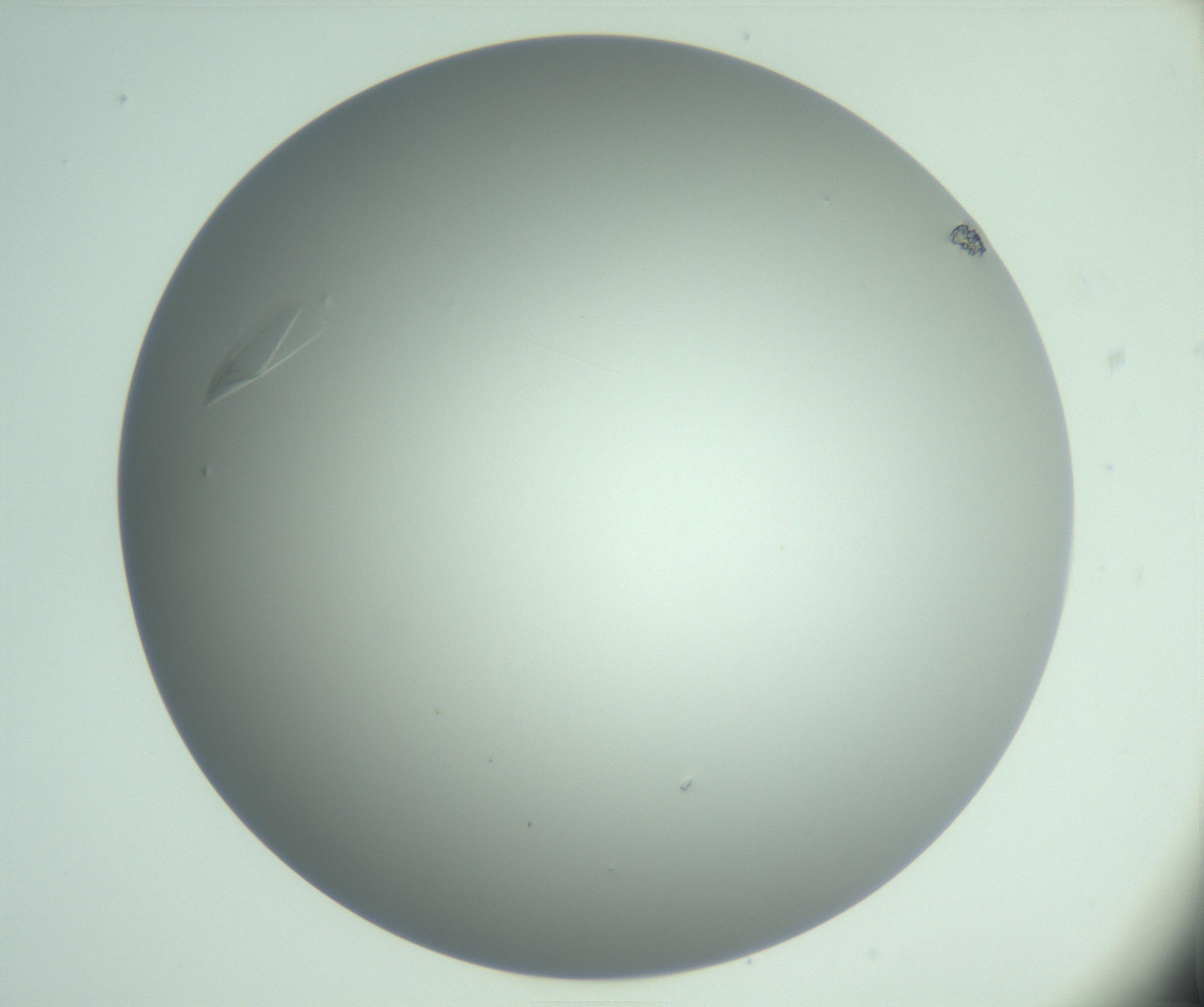 RI01_03_000_0212_Proj1_Clon1_MC_0000MC102985_006_161126_03_02_02_00_99_002_001_RAI.jpg