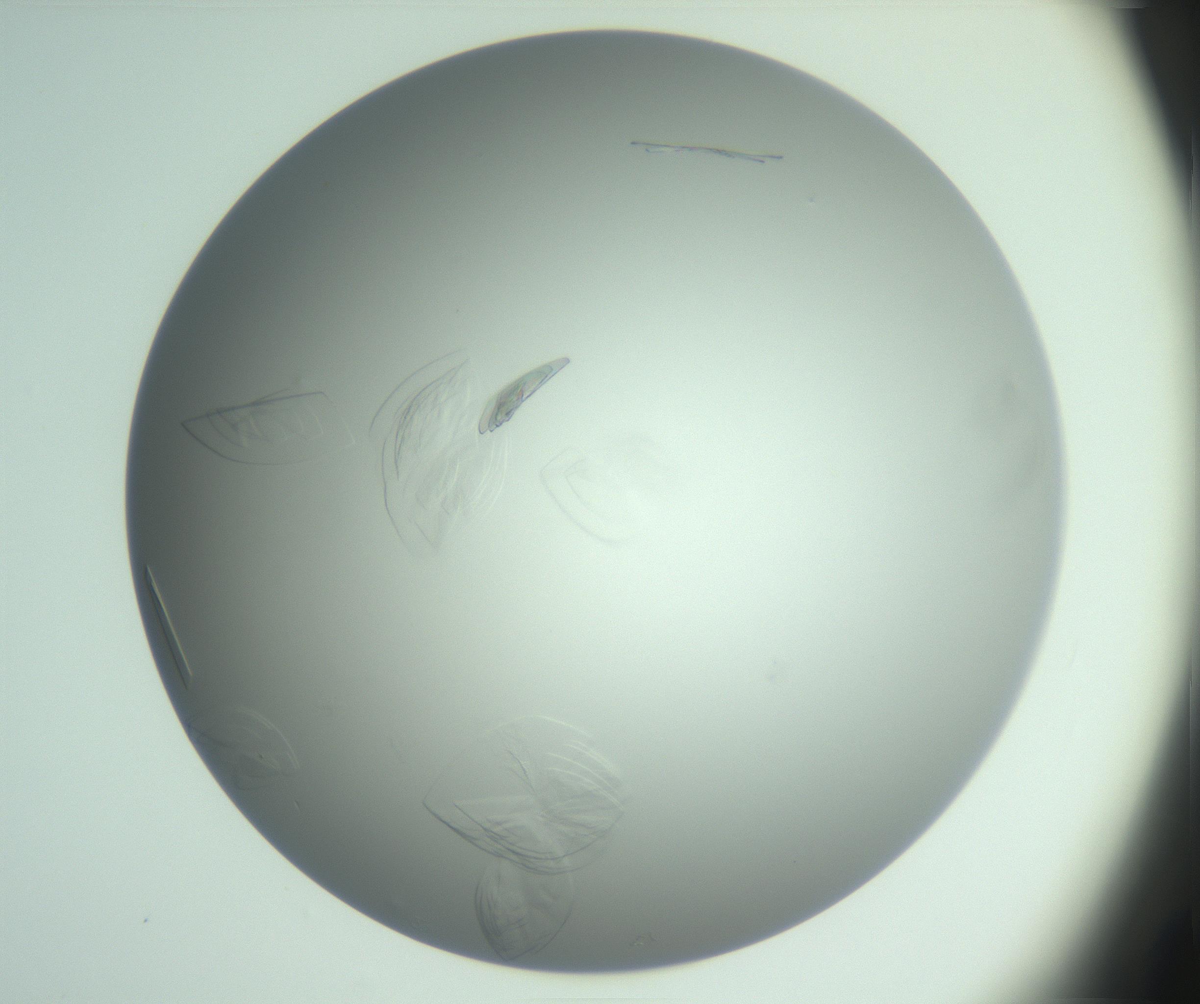 RI01_03_000_0212_Proj1_Clon1_MC_0000MC102985_006_161126_03_03_02_00_99_002_001_RAI.jpg