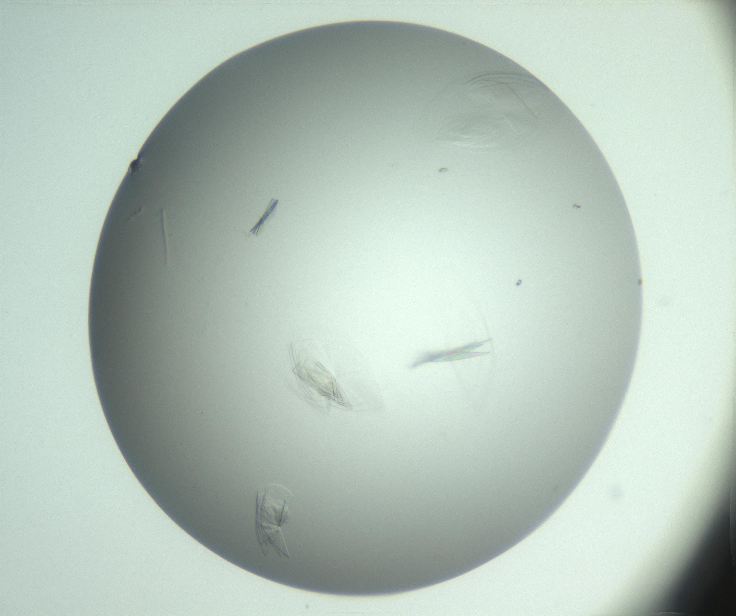 RI01_03_000_0212_Proj1_Clon1_MC_0000MC102985_006_161126_03_04_01_00_99_002_001_RAI.jpg