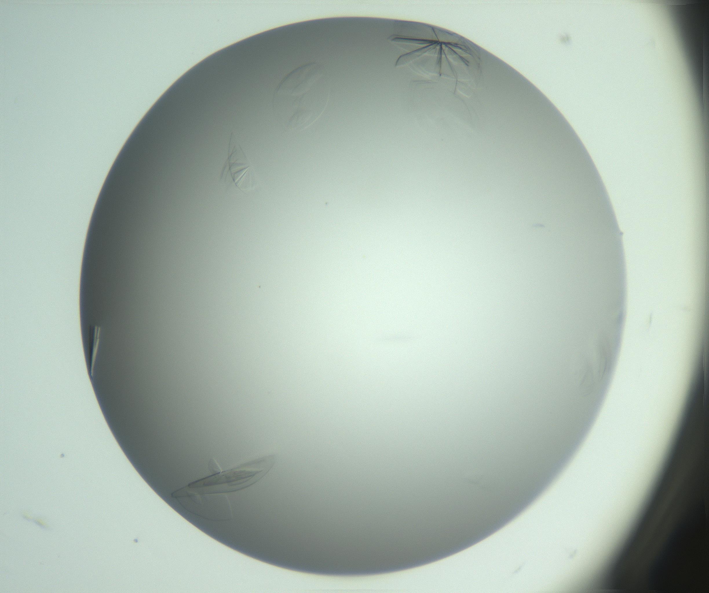 RI01_03_000_0212_Proj1_Clon1_MC_0000MC102985_006_161126_04_03_01_00_99_002_001_RAI.jpg