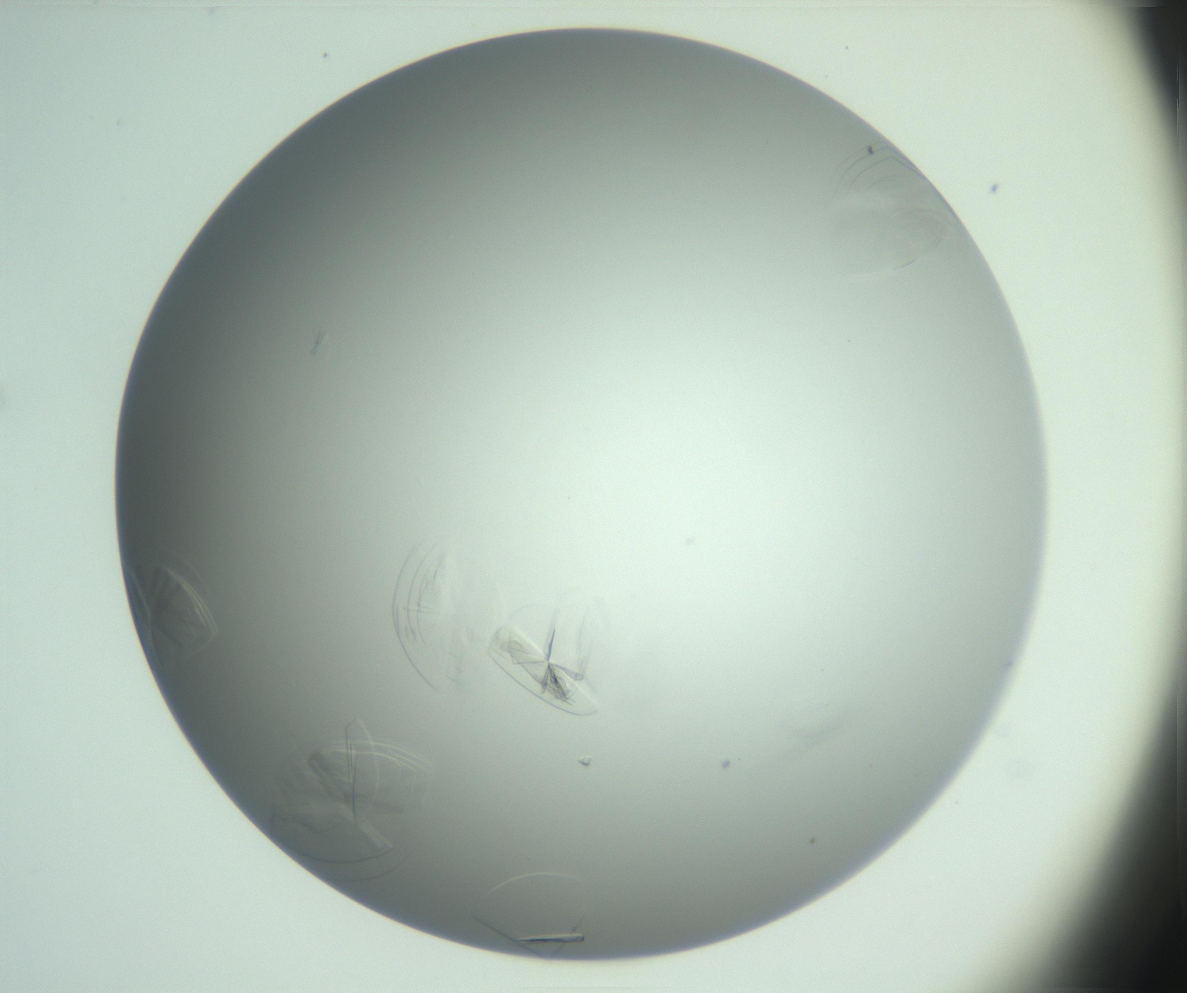RI01_03_000_0212_Proj1_Clon1_MC_0000MC102985_006_161126_04_03_02_00_99_002_001_RAI.jpg