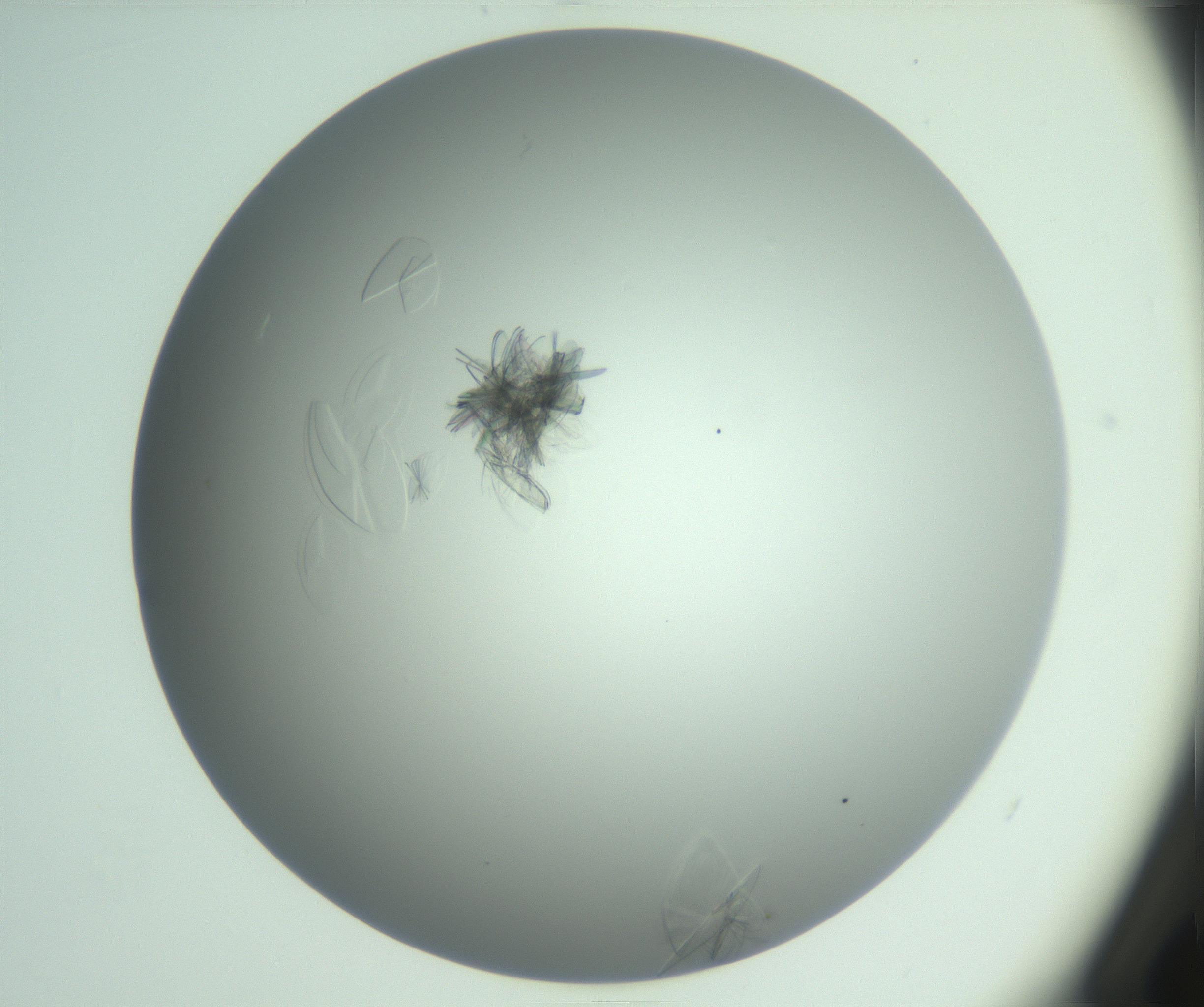 RI01_03_000_0212_Proj1_Clon1_MC_0000MC102985_006_161126_04_04_01_00_99_002_001_RAI.jpg