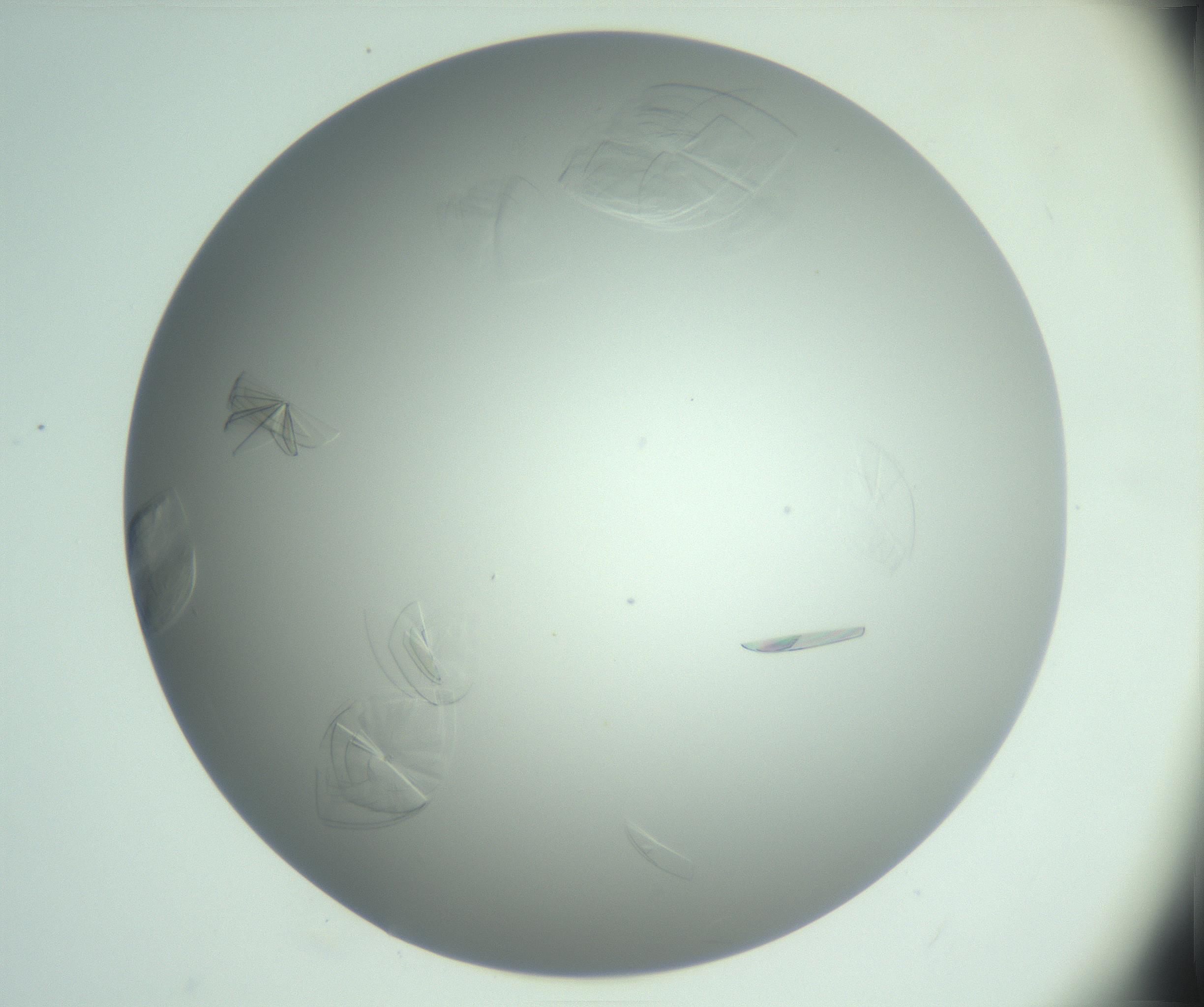 RI01_03_000_0212_Proj1_Clon1_MC_0000MC102985_006_161126_04_04_02_00_99_002_001_RAI.jpg