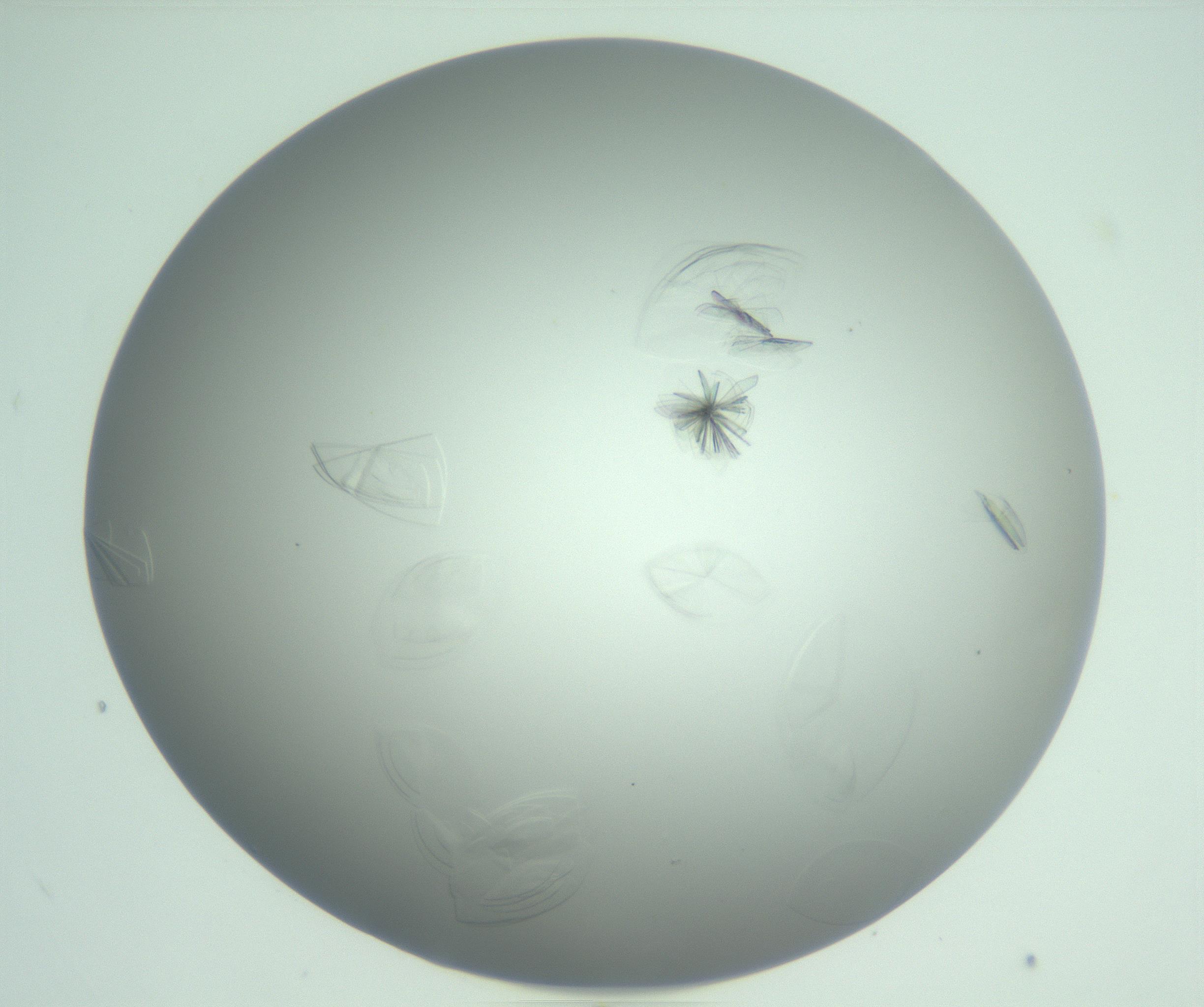 RI01_03_000_0212_Proj1_Clon1_MC_0000MC102985_006_161126_04_06_01_00_99_002_001_RAI.jpg