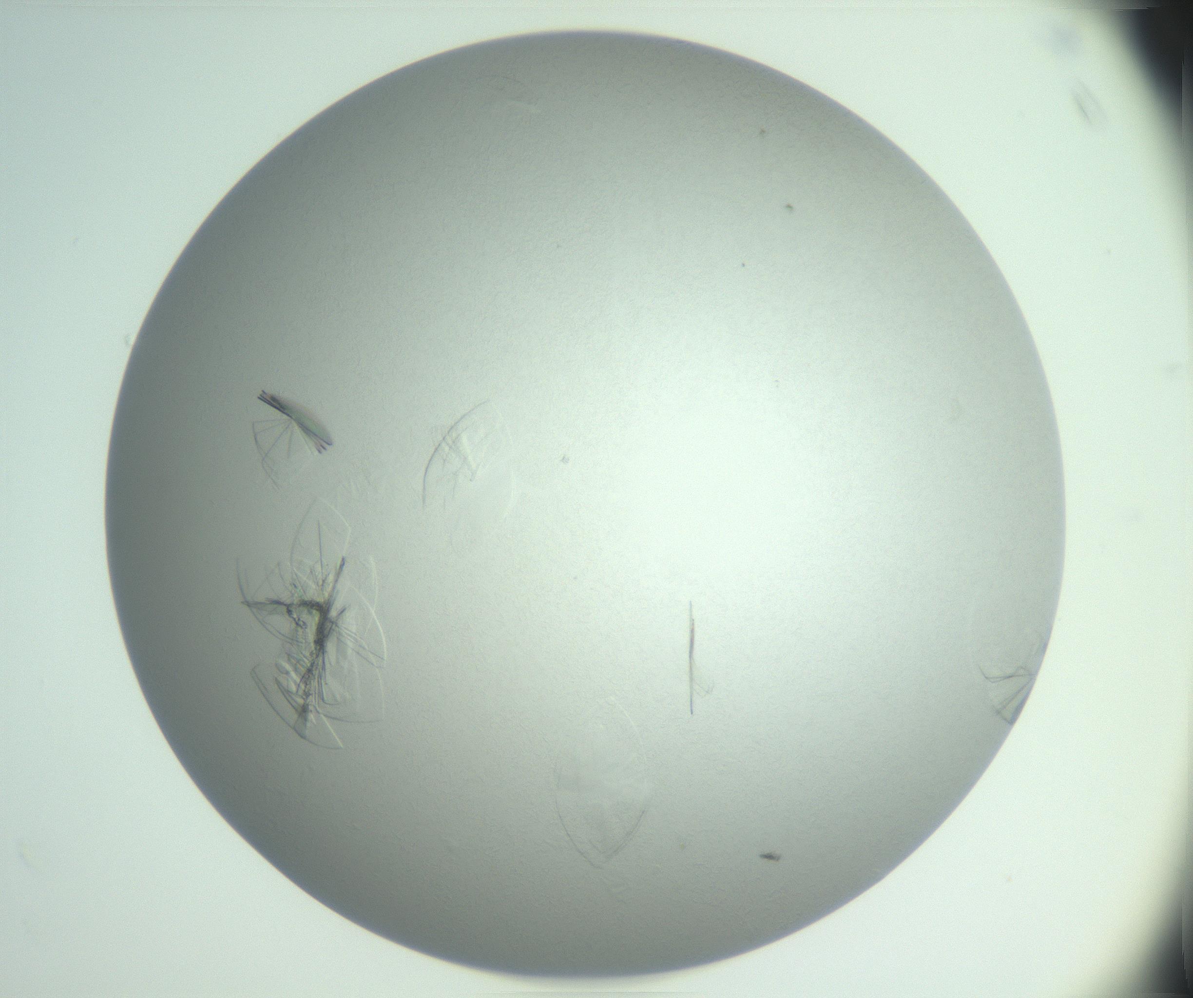 RI01_03_000_0212_Proj1_Clon1_MC_0000MC102985_006_161126_04_08_02_00_99_002_001_RAI.jpg