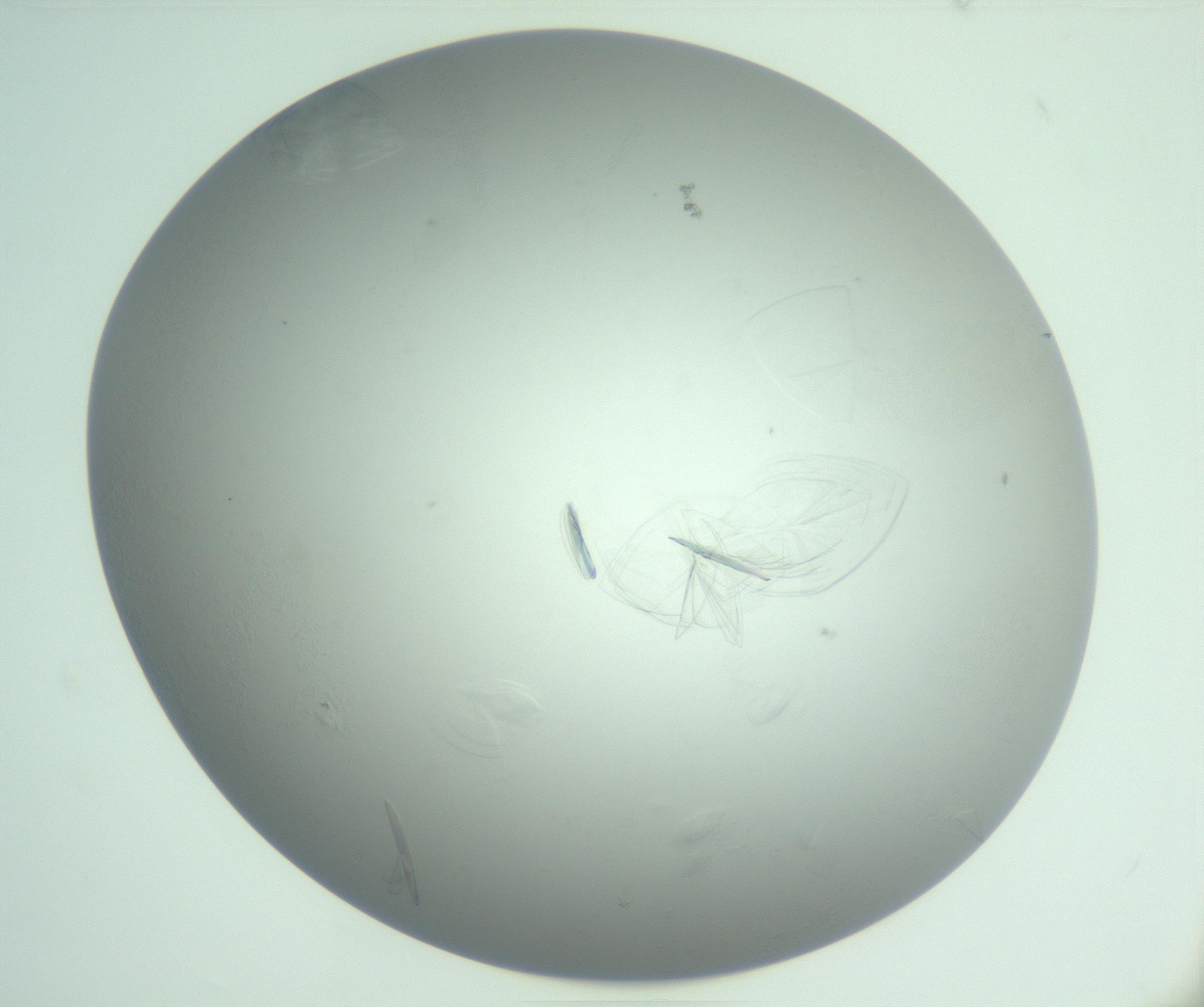 RI01_03_000_0212_Proj1_Clon1_MC_0000MC102985_006_161126_05_02_01_00_99_002_001_RAI.jpg