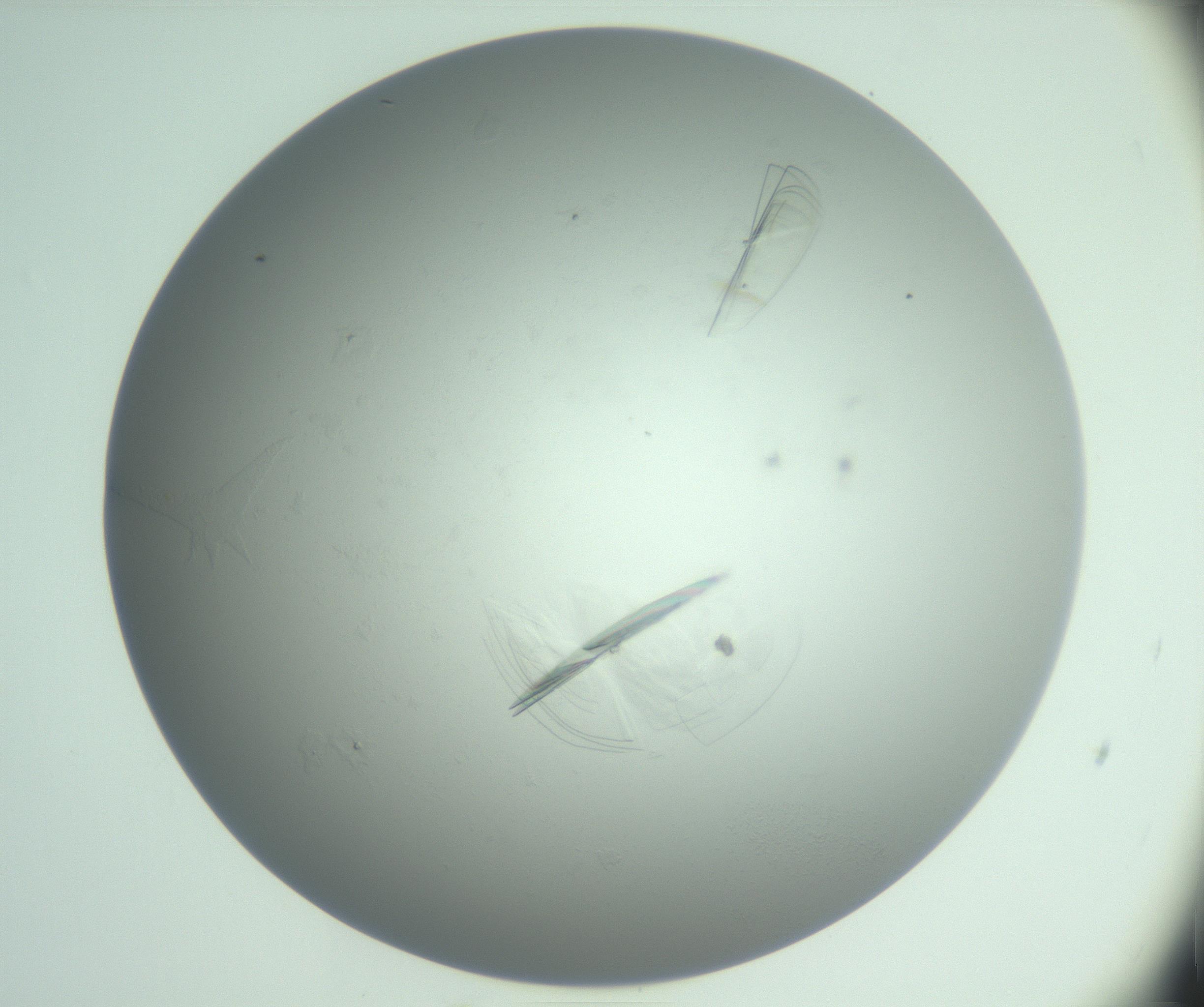 RI01_03_000_0212_Proj1_Clon1_MC_0000MC102985_006_161126_05_05_01_00_99_002_001_RAI.jpg