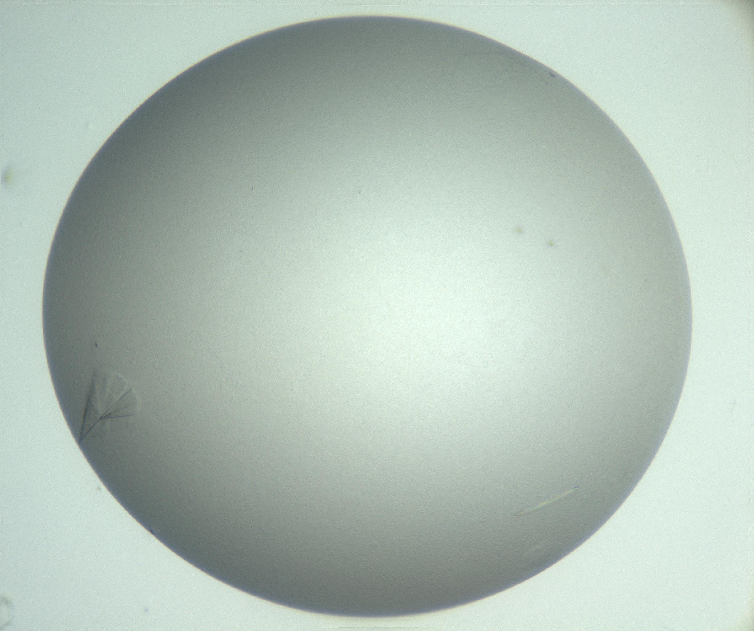 RI01_03_000_0212_Proj1_Clon1_MC_0000MC102985_006_161126_05_05_02_00_99_002_001_RAI.jpg