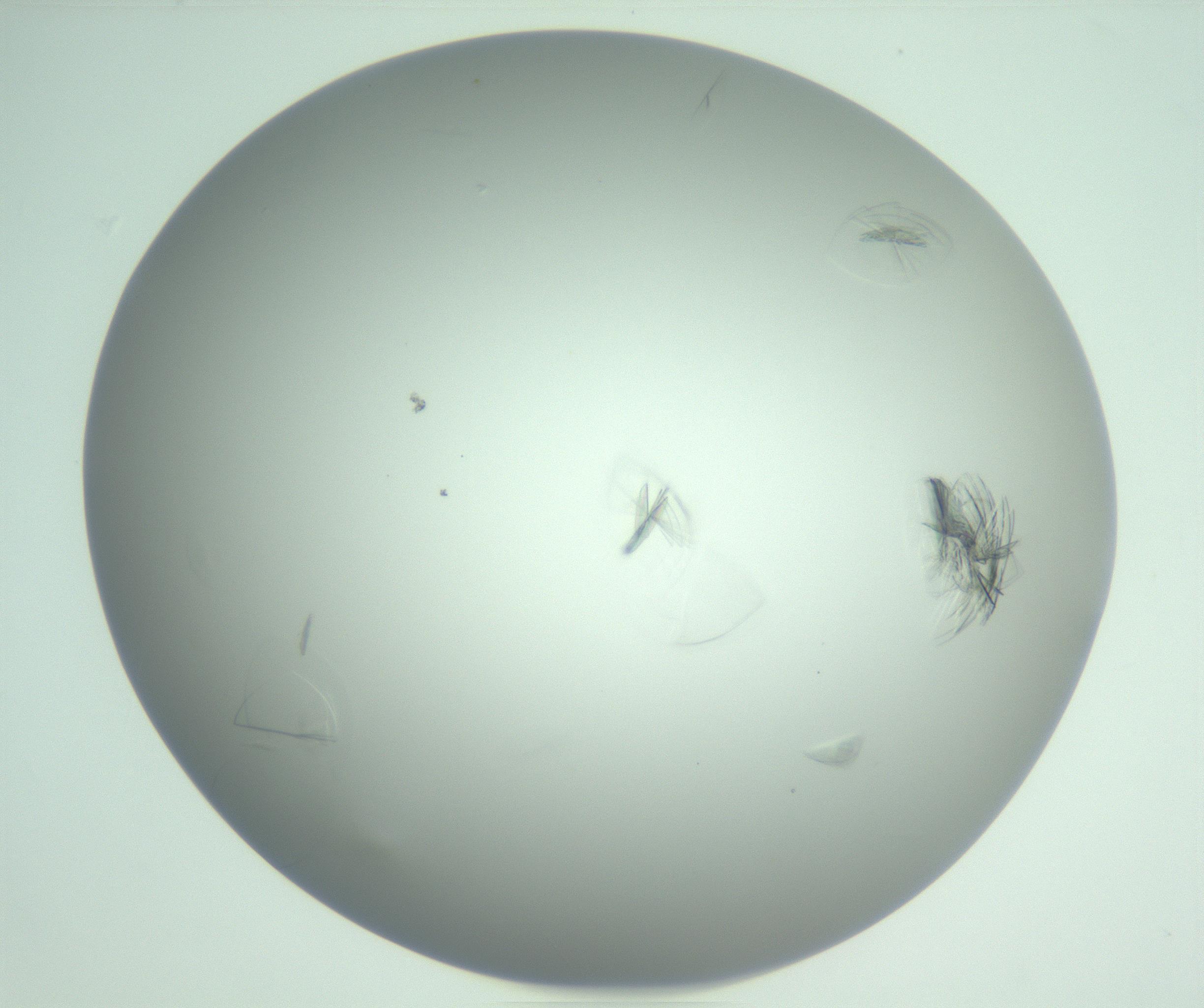 RI01_03_000_0212_Proj1_Clon1_MC_0000MC102985_006_161126_05_07_01_00_99_002_001_RAI.jpg