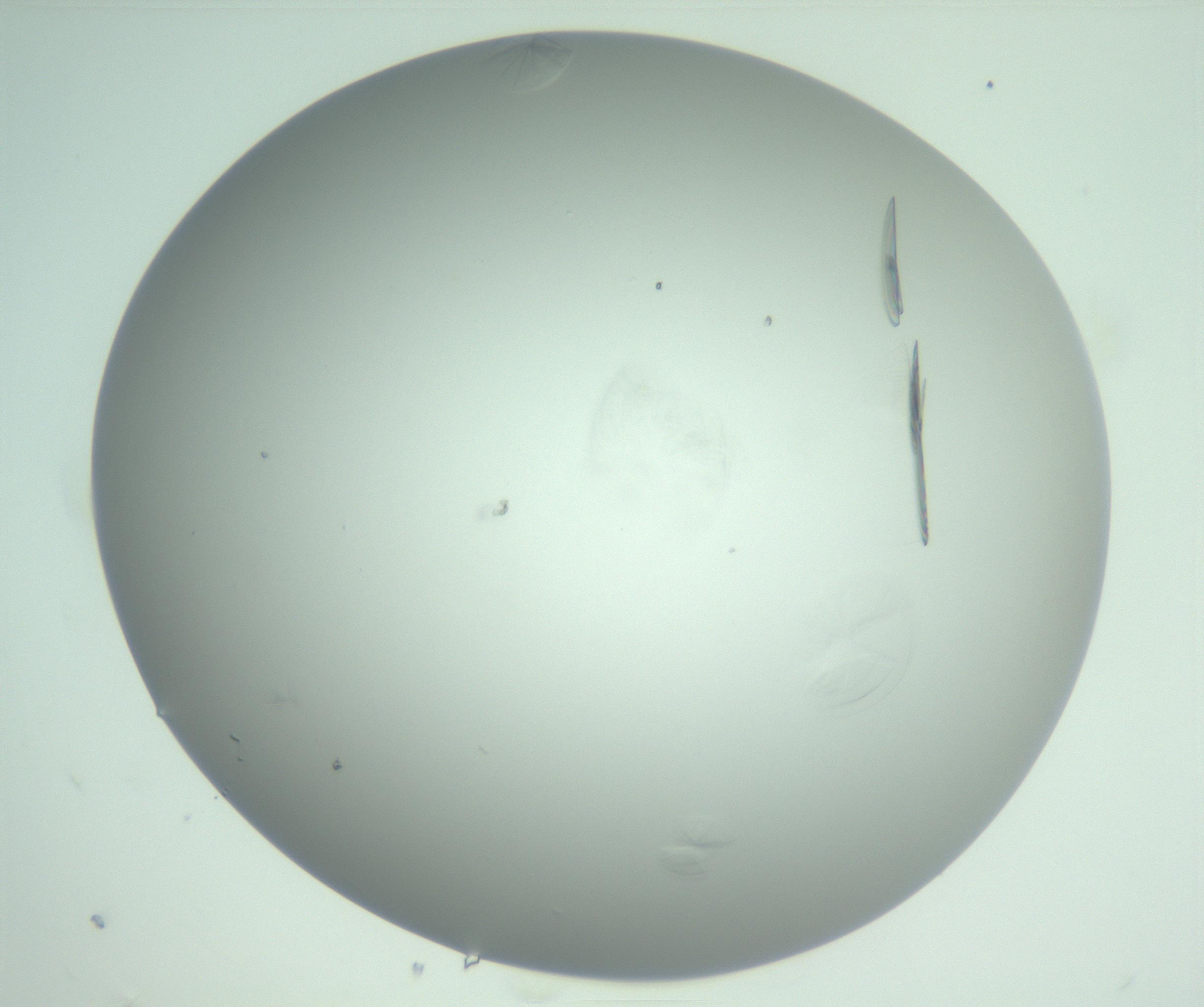 RI01_03_000_0212_Proj1_Clon1_MC_0000MC102985_006_161126_05_07_02_00_99_002_001_RAI.jpg