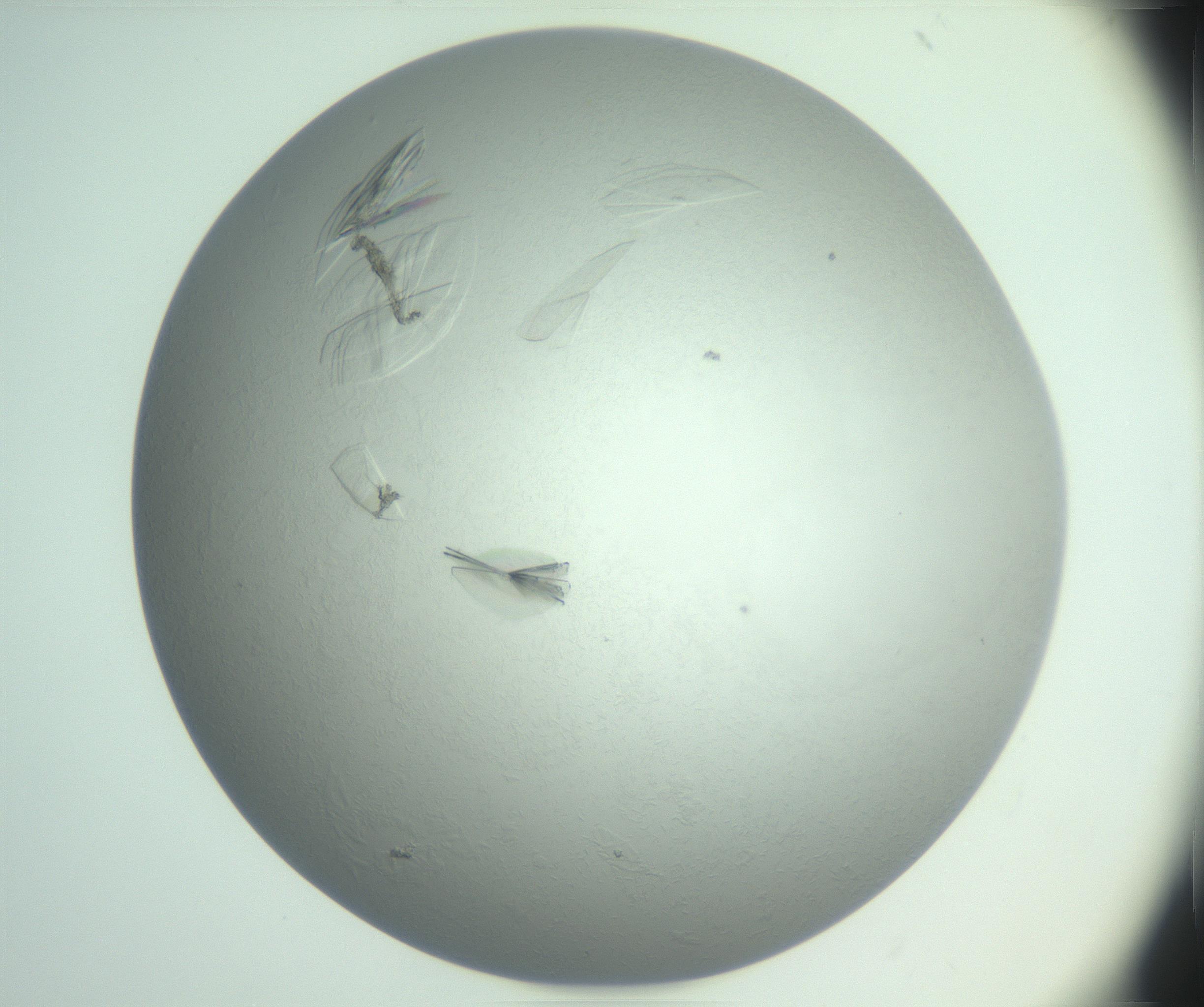 RI01_03_000_0212_Proj1_Clon1_MC_0000MC102985_006_161126_05_08_01_00_99_002_001_RAI.jpg