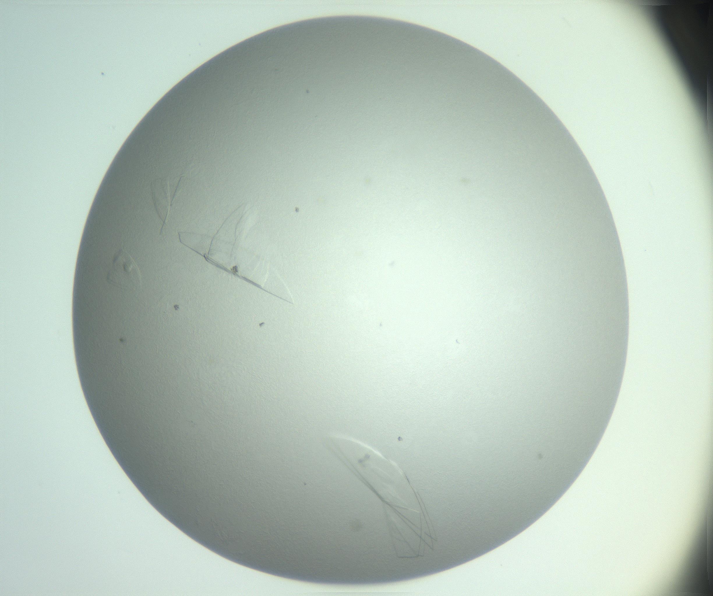RI01_03_000_0212_Proj1_Clon1_MC_0000MC102985_006_161126_05_08_02_00_99_002_001_RAI.jpg