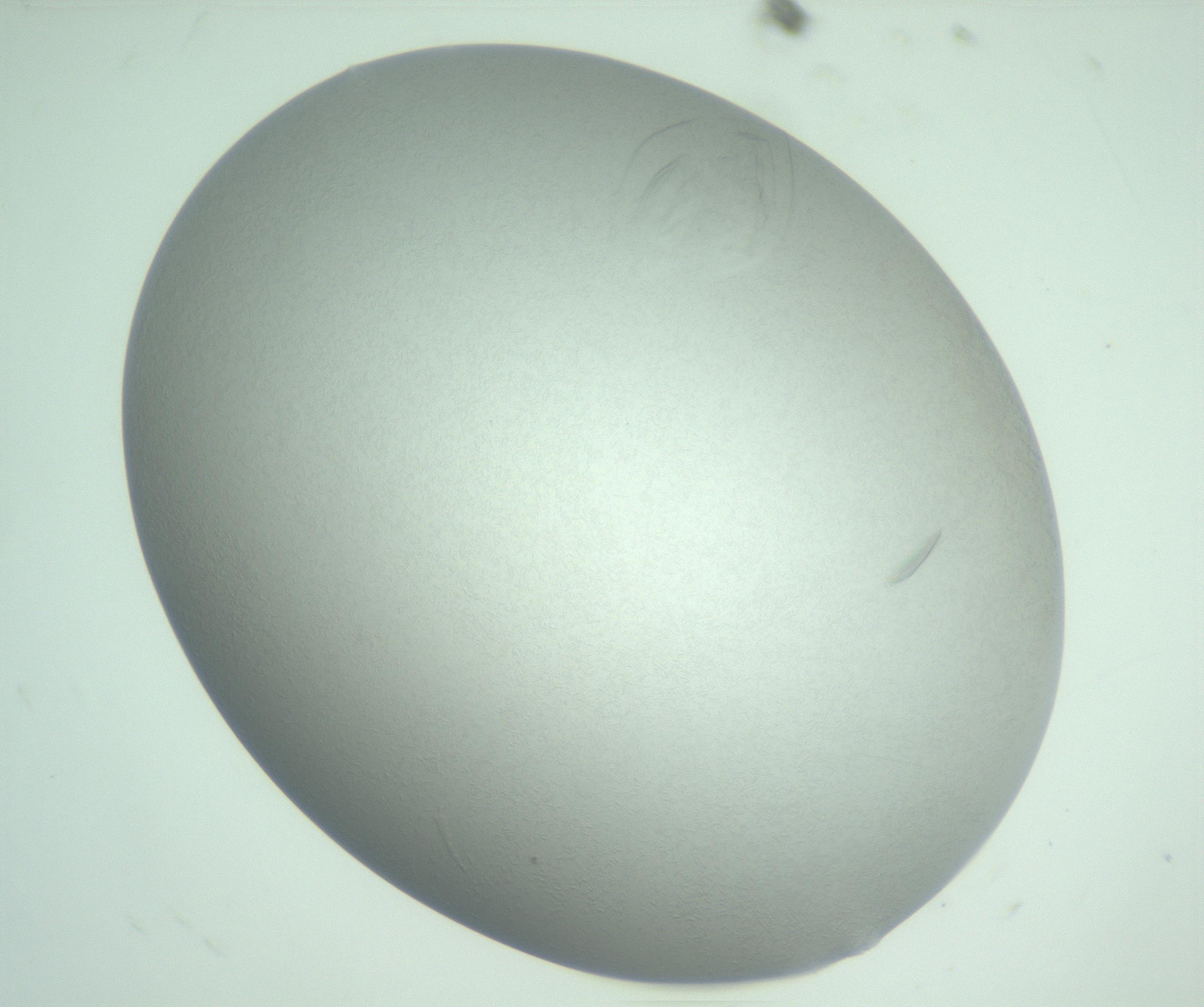 RI01_03_000_0212_Proj1_Clon1_MC_0000MC102985_006_161126_06_01_01_00_99_002_001_RAI.jpg