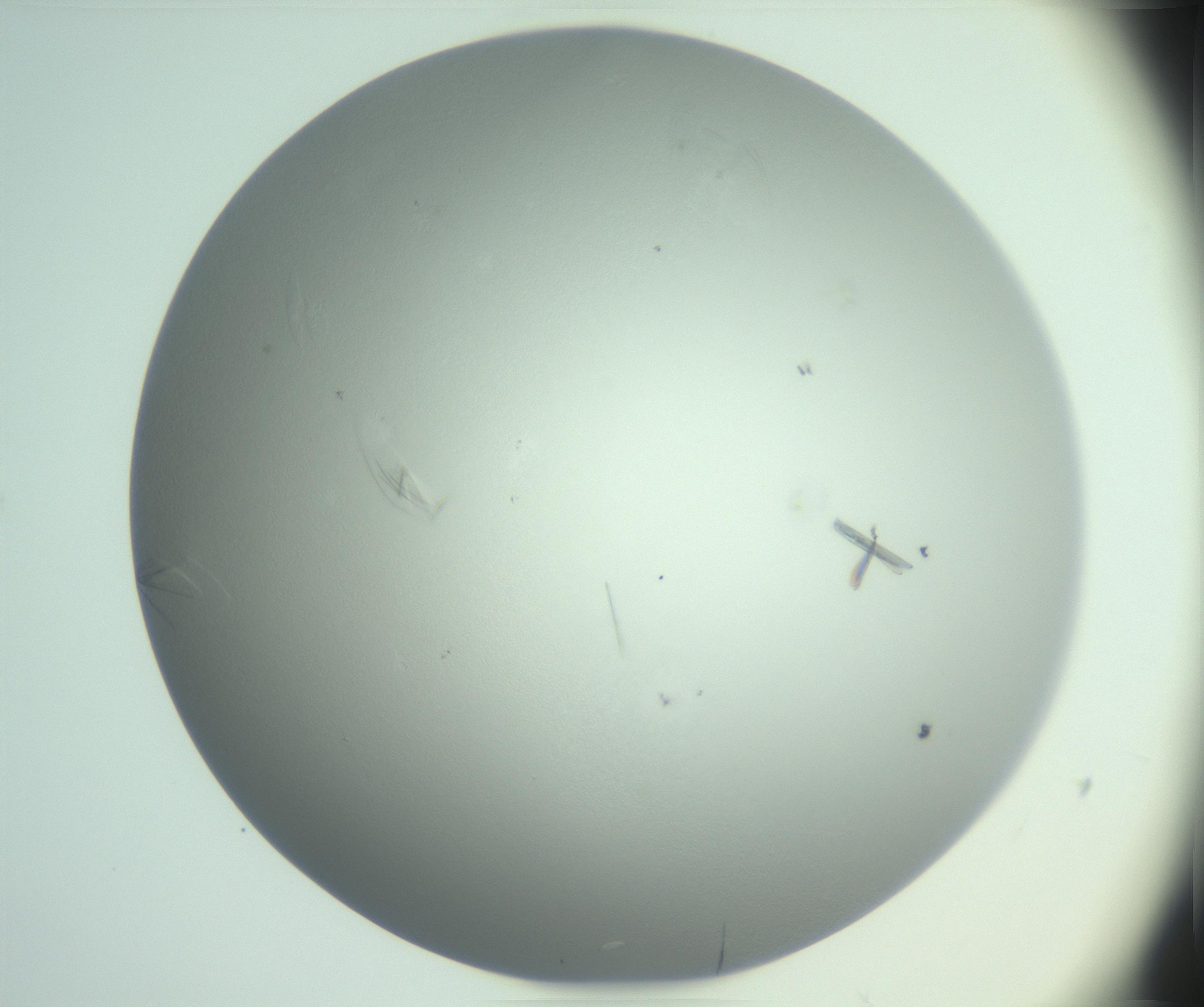 RI01_03_000_0212_Proj1_Clon1_MC_0000MC102985_006_161126_06_08_01_00_99_002_001_RAI.jpg