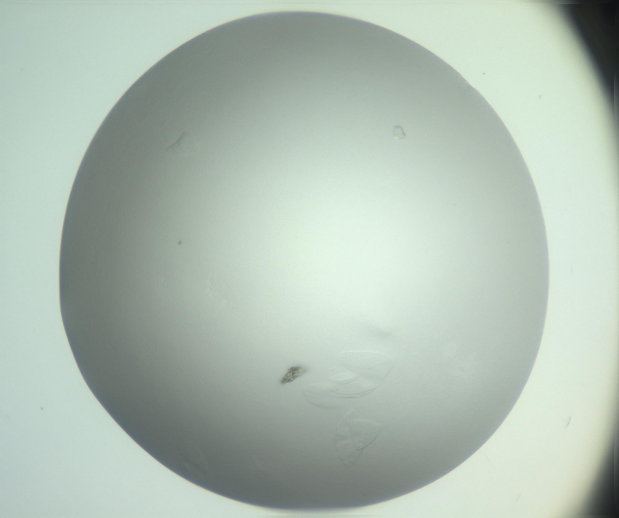RI01_03_000_0212_Proj1_Clon1_MC_0000MC102985_006_161126_06_08_02_00_99_002_001_RAI.jpg
