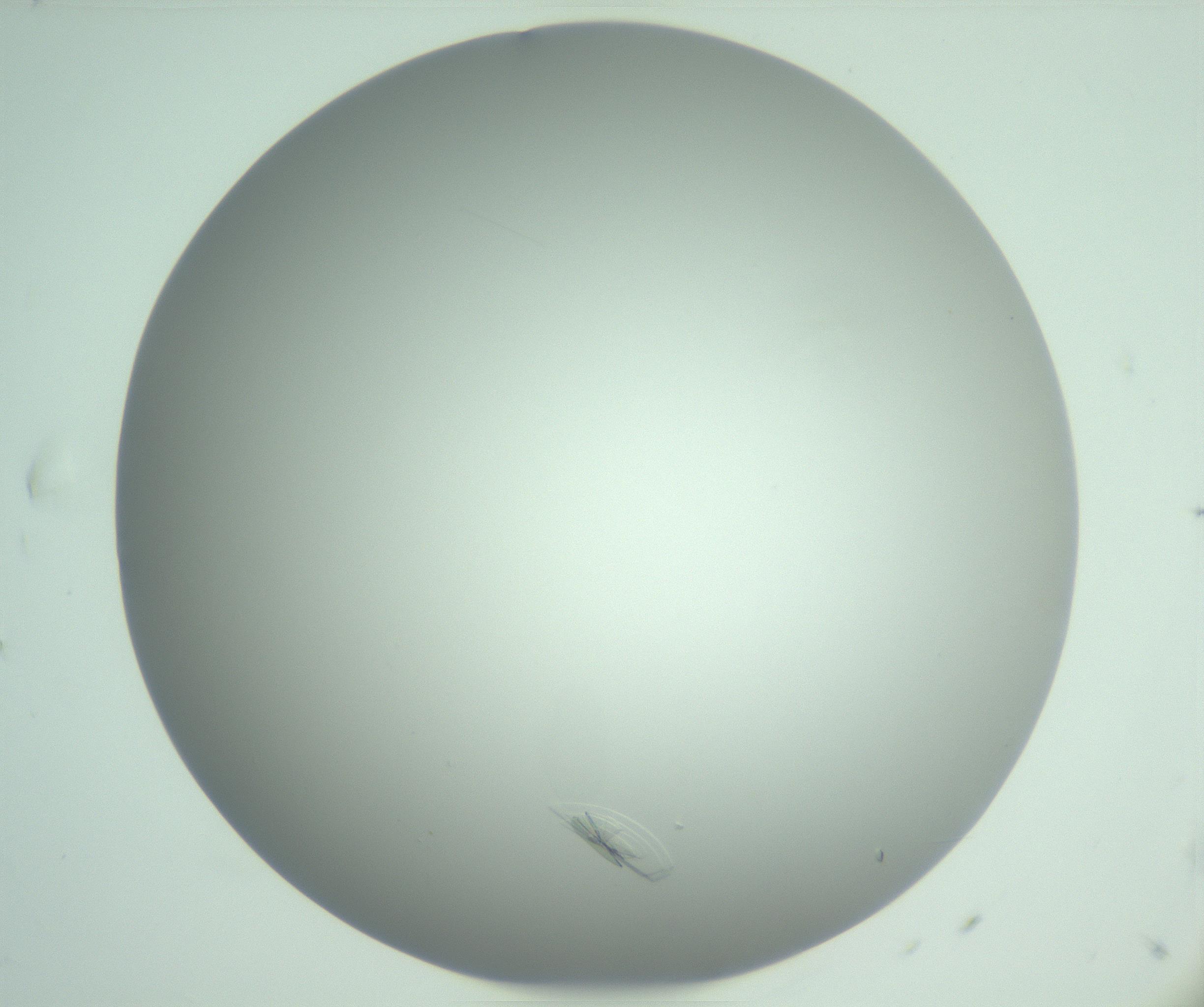 RI01_03_000_0212_Proj1_Clon1_MC_0000MC102985_006_161126_07_01_01_00_99_002_001_RAI.jpg