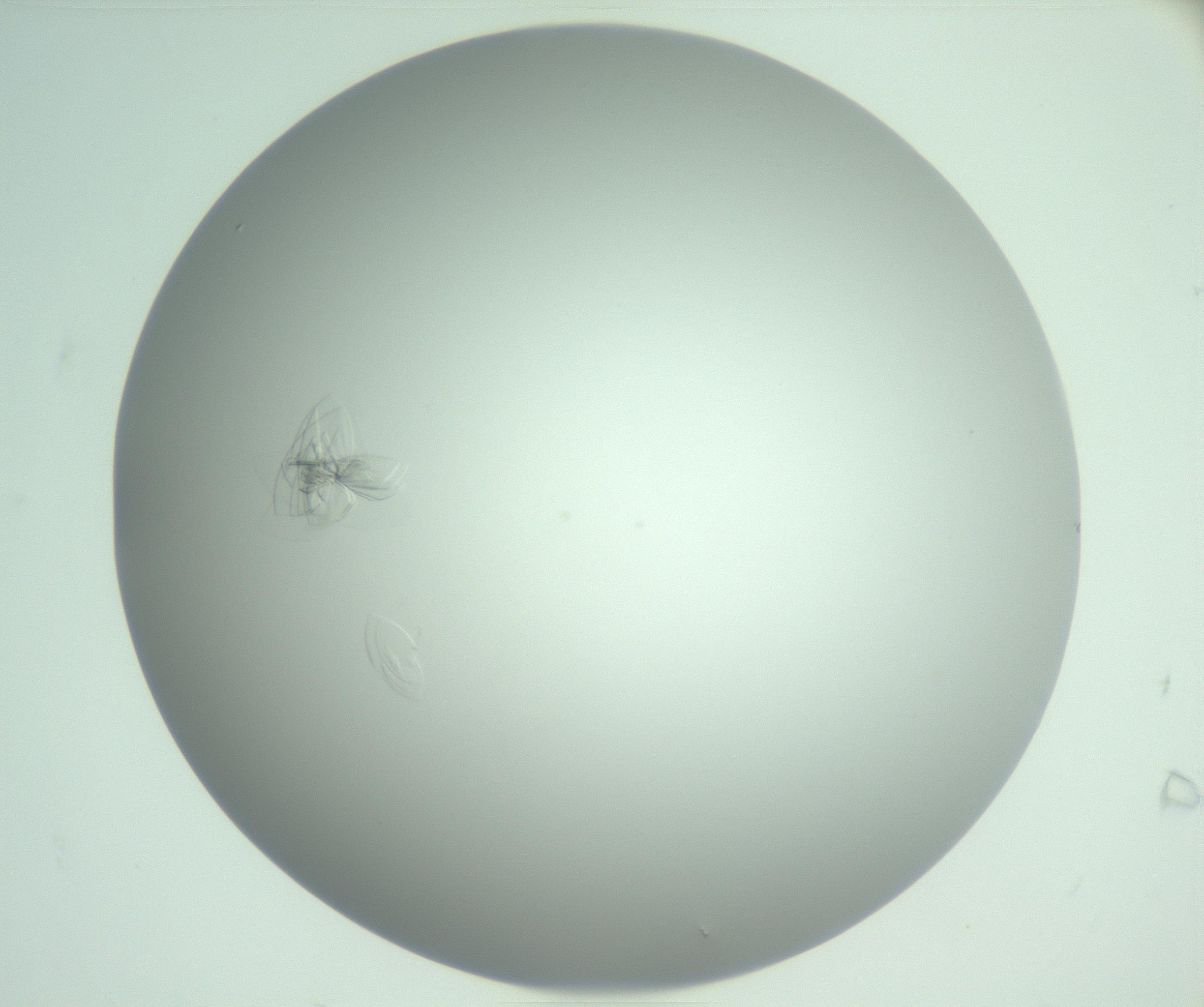 RI01_03_000_0212_Proj1_Clon1_MC_0000MC102985_006_161126_07_01_02_00_99_002_001_RAI.jpg
