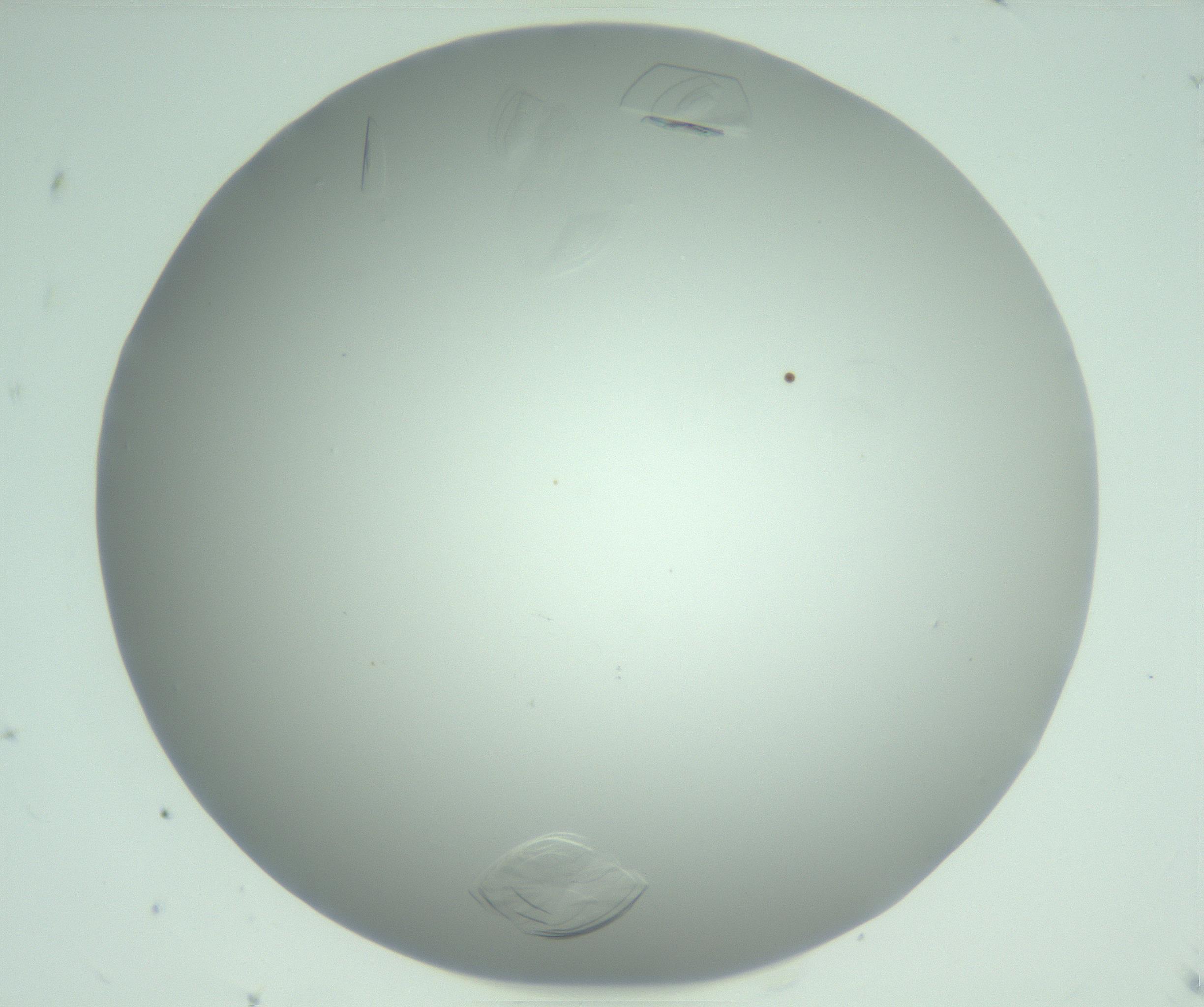 RI01_03_000_0212_Proj1_Clon1_MC_0000MC102985_006_161126_07_05_01_00_99_002_001_RAI.jpg