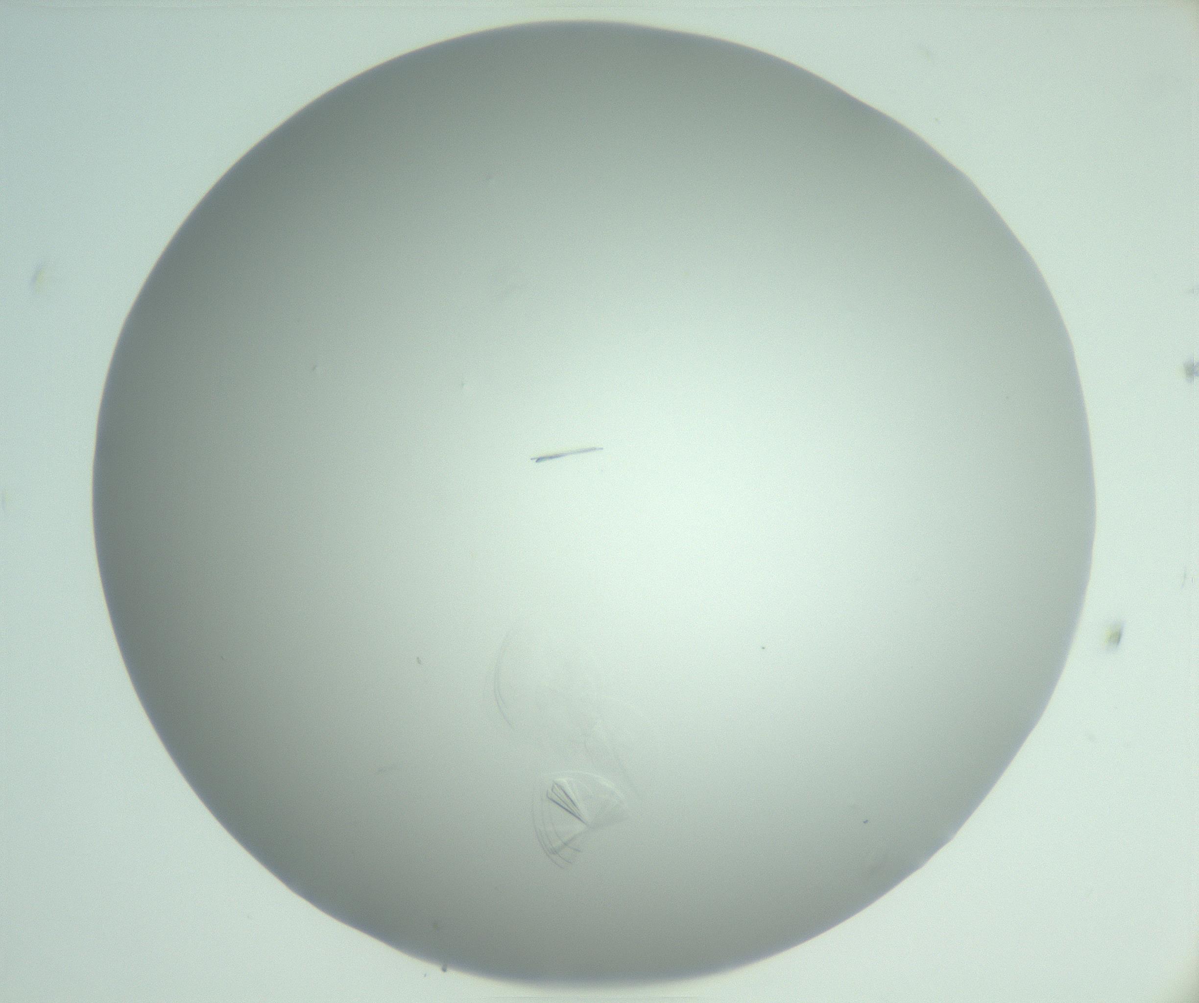 RI01_03_000_0212_Proj1_Clon1_MC_0000MC102985_006_161126_07_05_02_00_99_002_001_RAI.jpg
