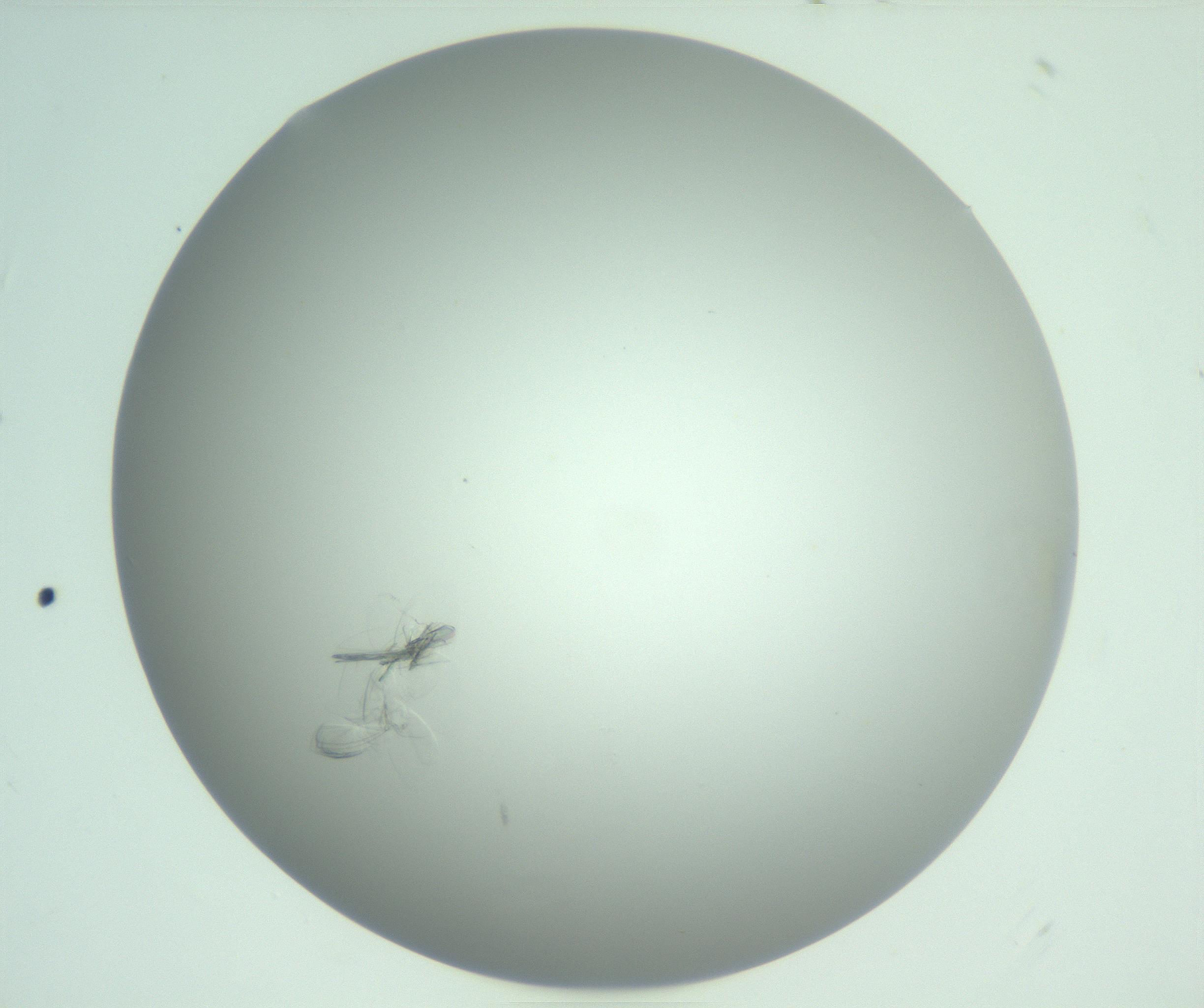 RI01_03_000_0212_Proj1_Clon1_MC_0000MC102985_006_161126_08_02_01_00_99_002_001_RAI.jpg