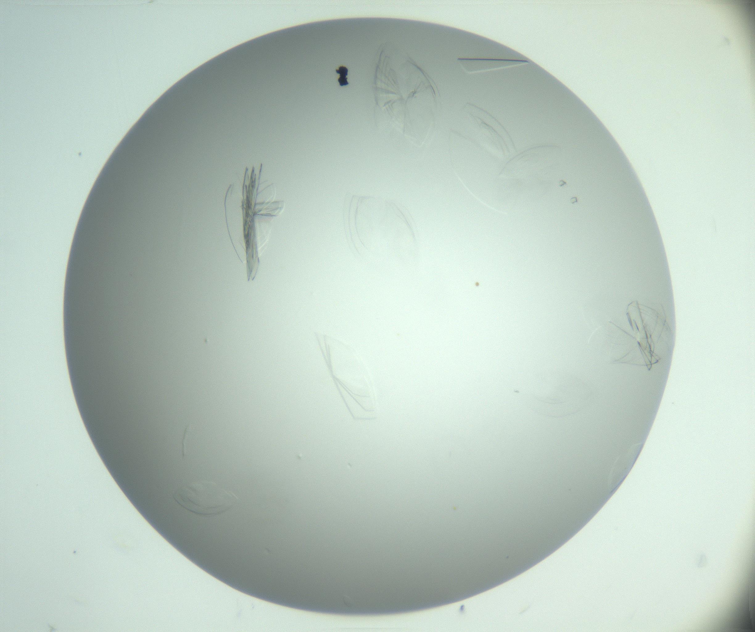 RI01_03_000_0212_Proj1_Clon1_MC_0000MC102985_006_161126_08_04_02_00_99_002_001_RAI.jpg
