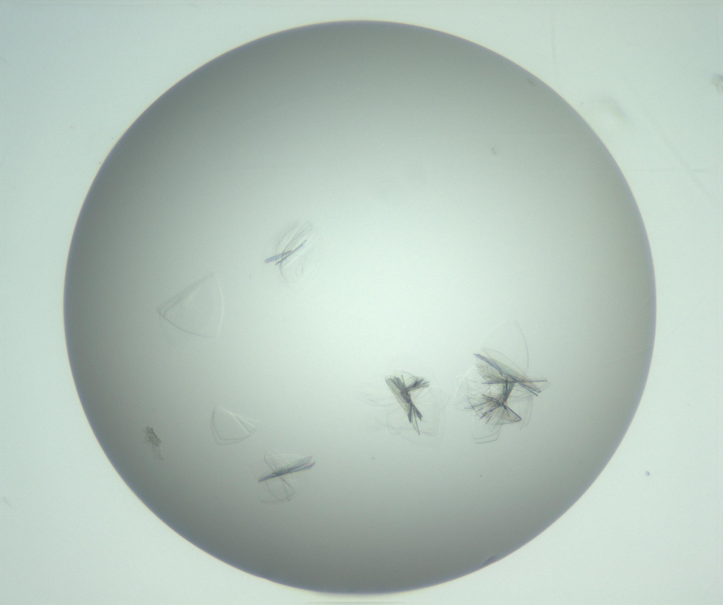 RI01_03_000_0212_Proj1_Clon1_MC_0000MC102985_006_161126_08_06_01_00_99_002_001_RAI.jpg