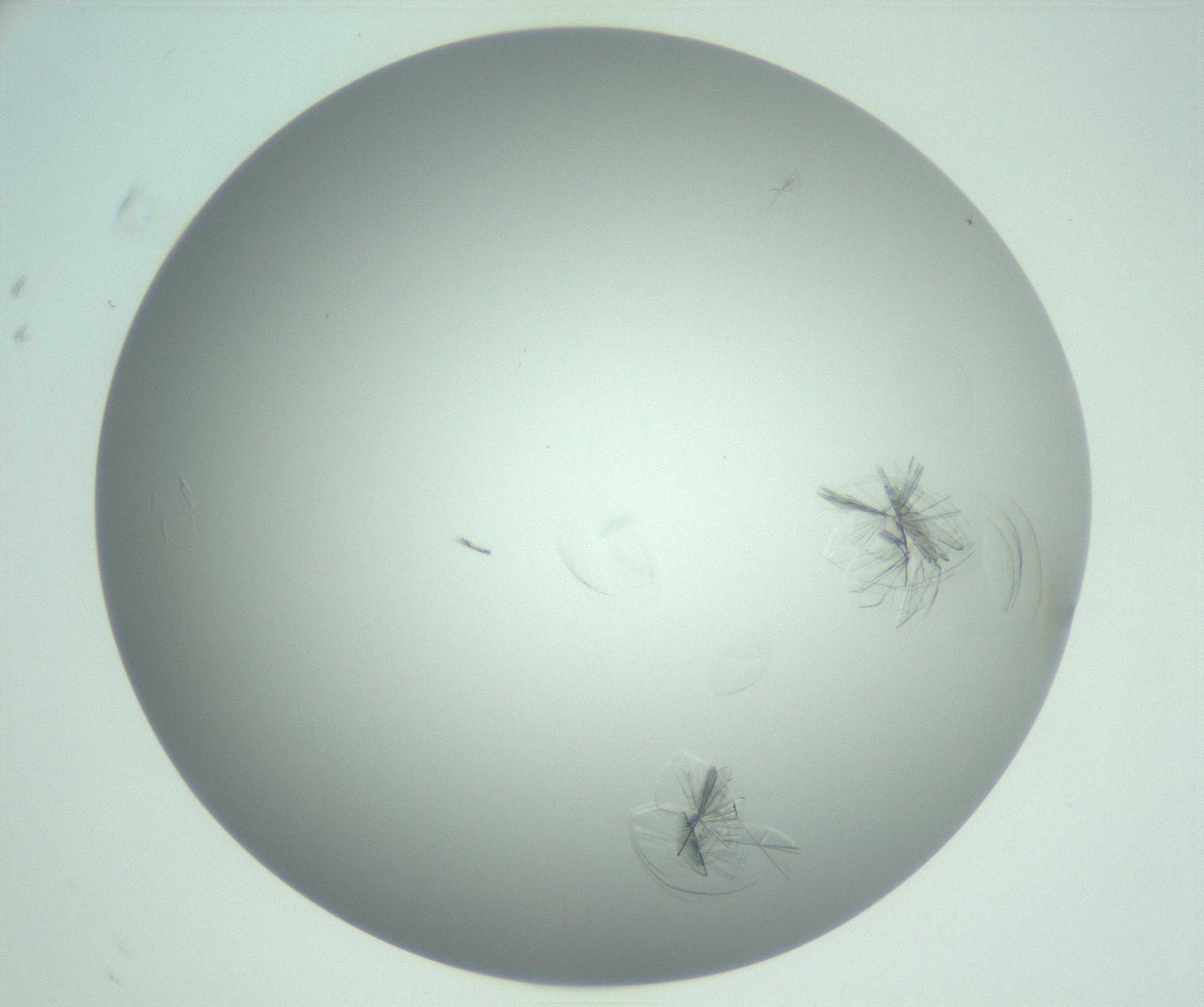 RI01_03_000_0212_Proj1_Clon1_MC_0000MC102985_006_161126_08_06_02_00_99_002_001_RAI.jpg