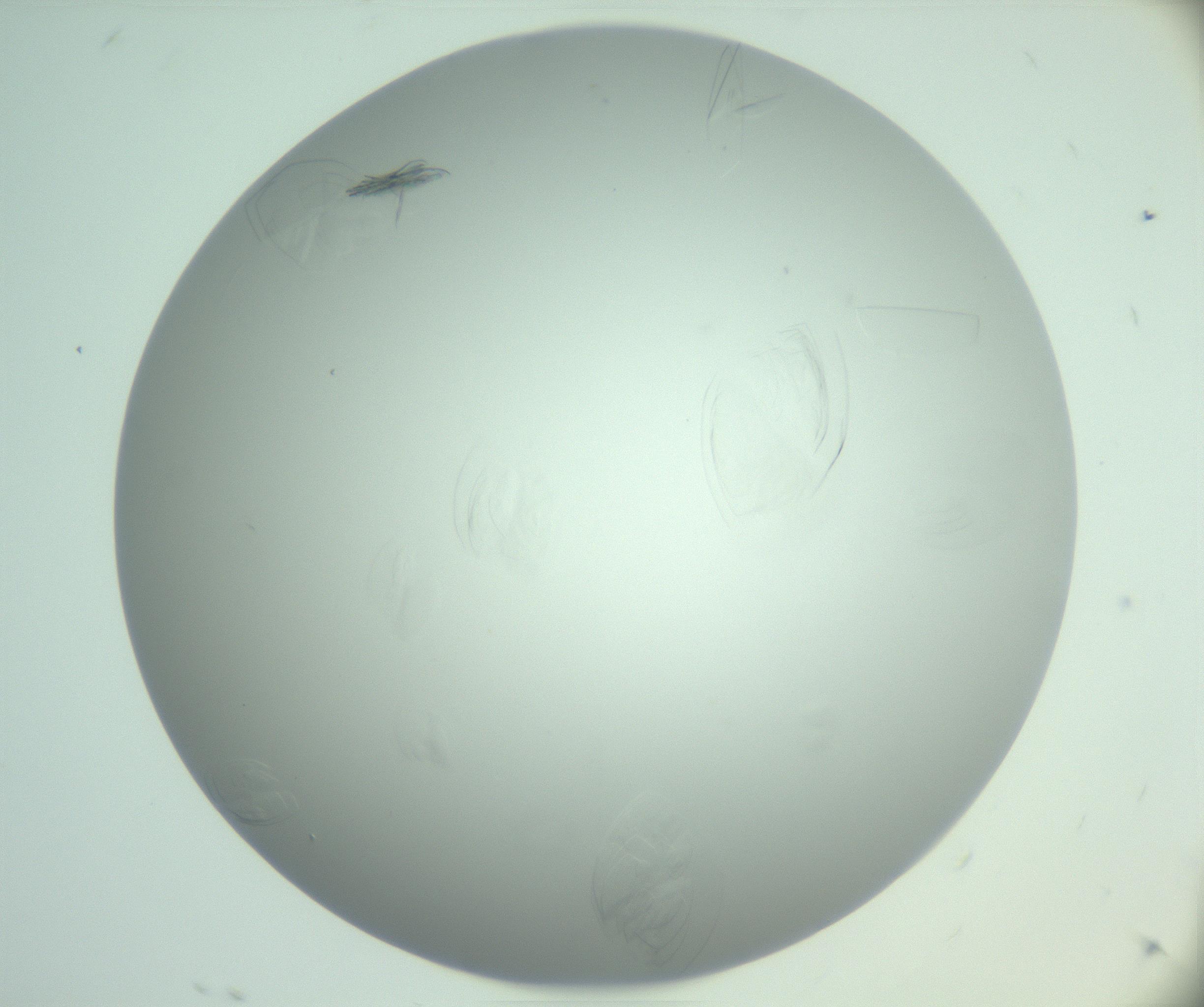 RI01_03_000_0212_Proj1_Clon1_MC_0000MC102985_006_161126_08_08_01_00_99_002_001_RAI.jpg