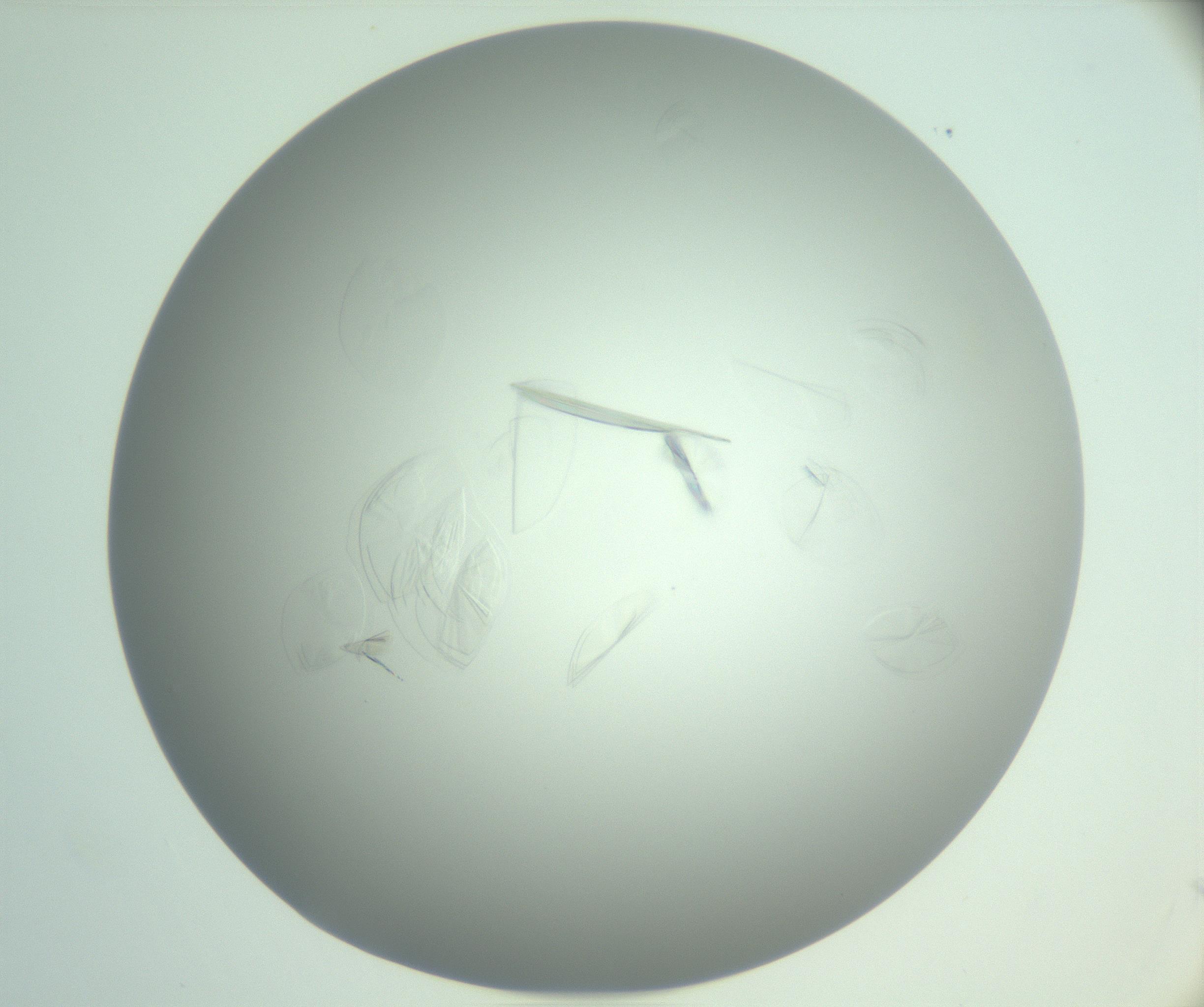 RI01_03_000_0212_Proj1_Clon1_MC_0000MC102985_006_161126_08_08_02_00_99_002_001_RAI.jpg