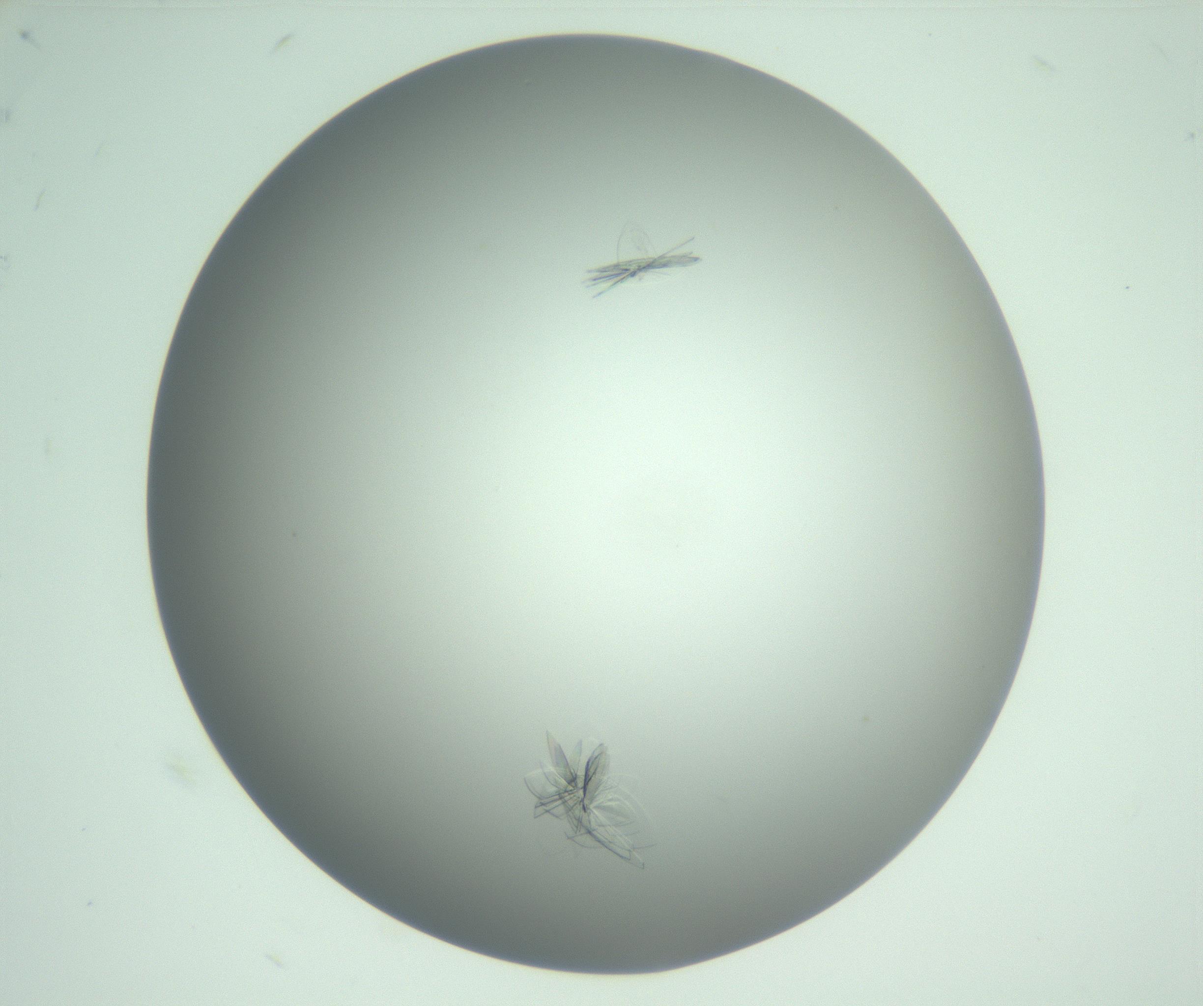RI01_03_000_0212_Proj1_Clon1_MC_0000MC102985_006_161126_09_01_02_00_99_002_001_RAI.jpg