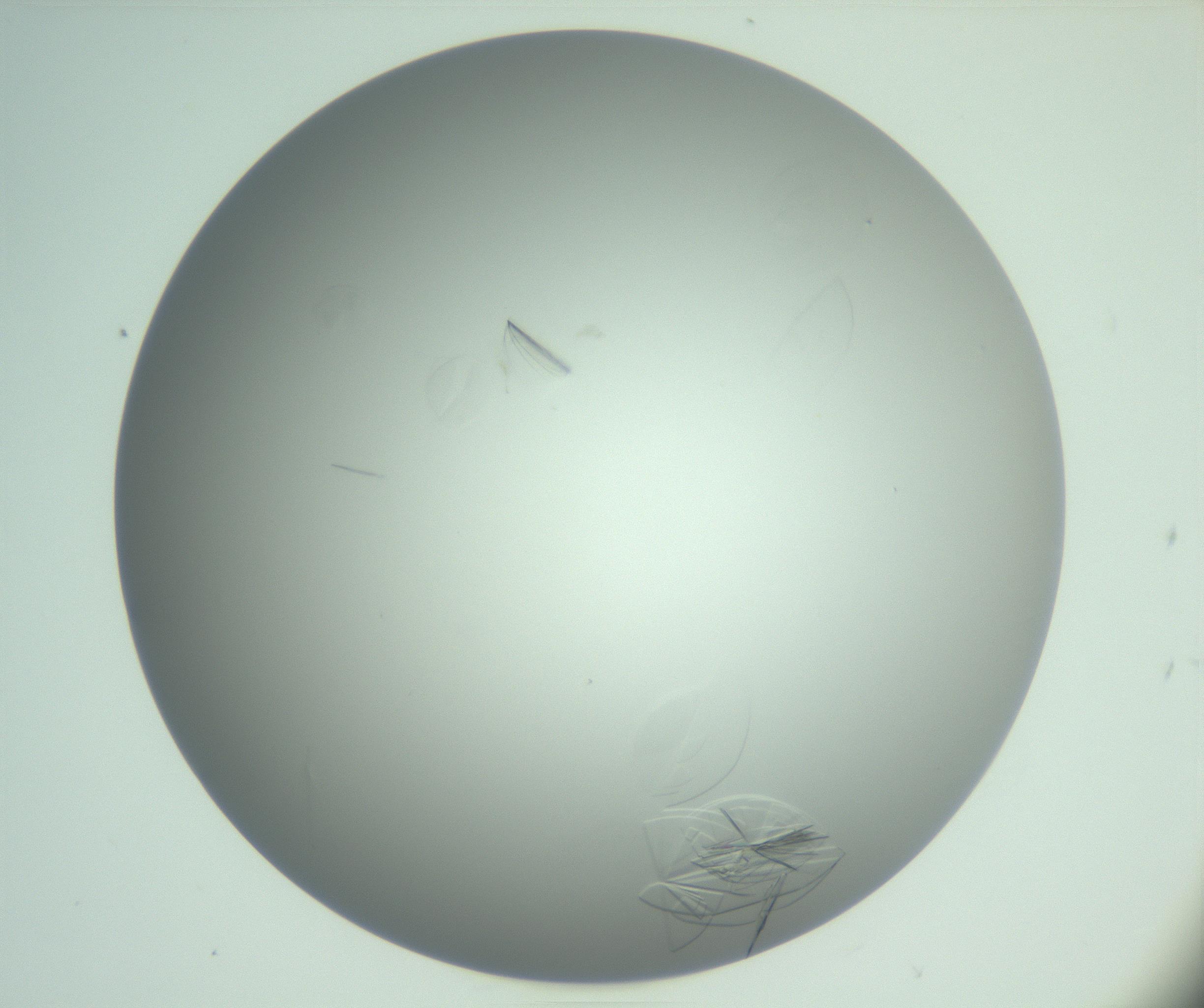 RI01_03_000_0212_Proj1_Clon1_MC_0000MC102985_006_161126_09_03_01_00_99_002_001_RAI.jpg