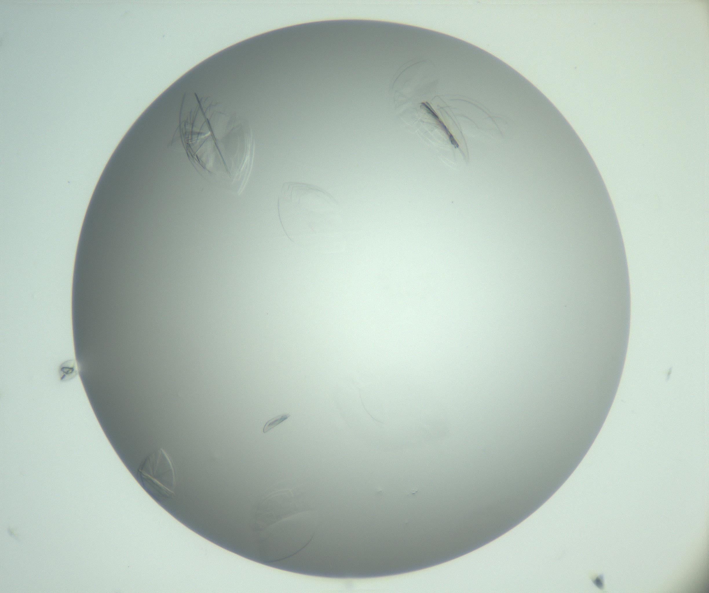 RI01_03_000_0212_Proj1_Clon1_MC_0000MC102985_006_161126_09_03_02_00_99_002_001_RAI.jpg